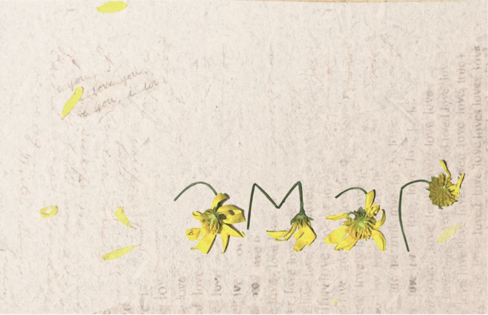 Captura de pantalla 2026-01-29 a la(s) 17.57.04.png