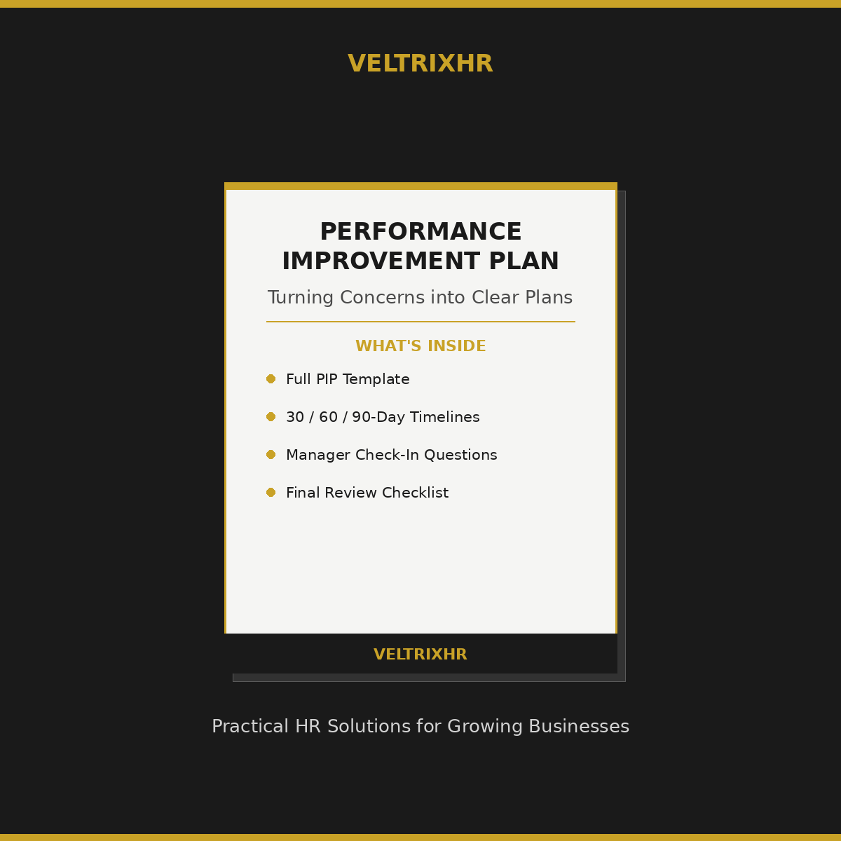 Performance Improvement Plan Toolkit