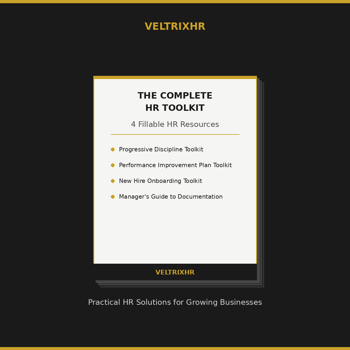 VeltrixHR Complete HR Toolkit Bundle
