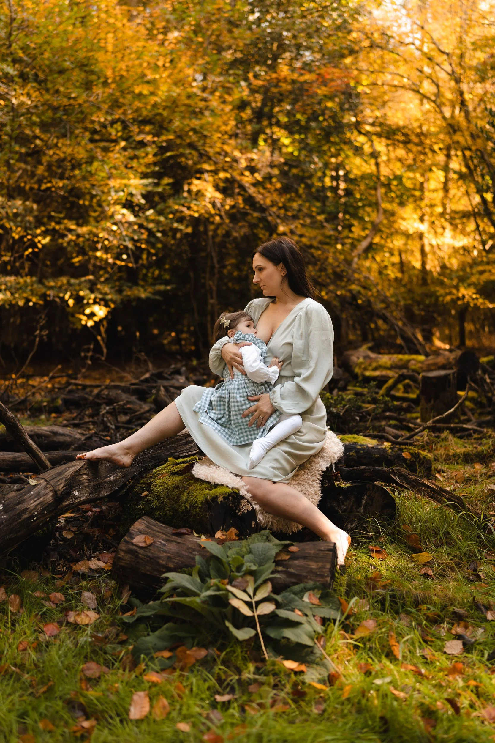 A mother sitting on a log in the golden light of a woods in Amersham, Buckinghamshire feeding her baby during a motherhood empowerment photoshoot