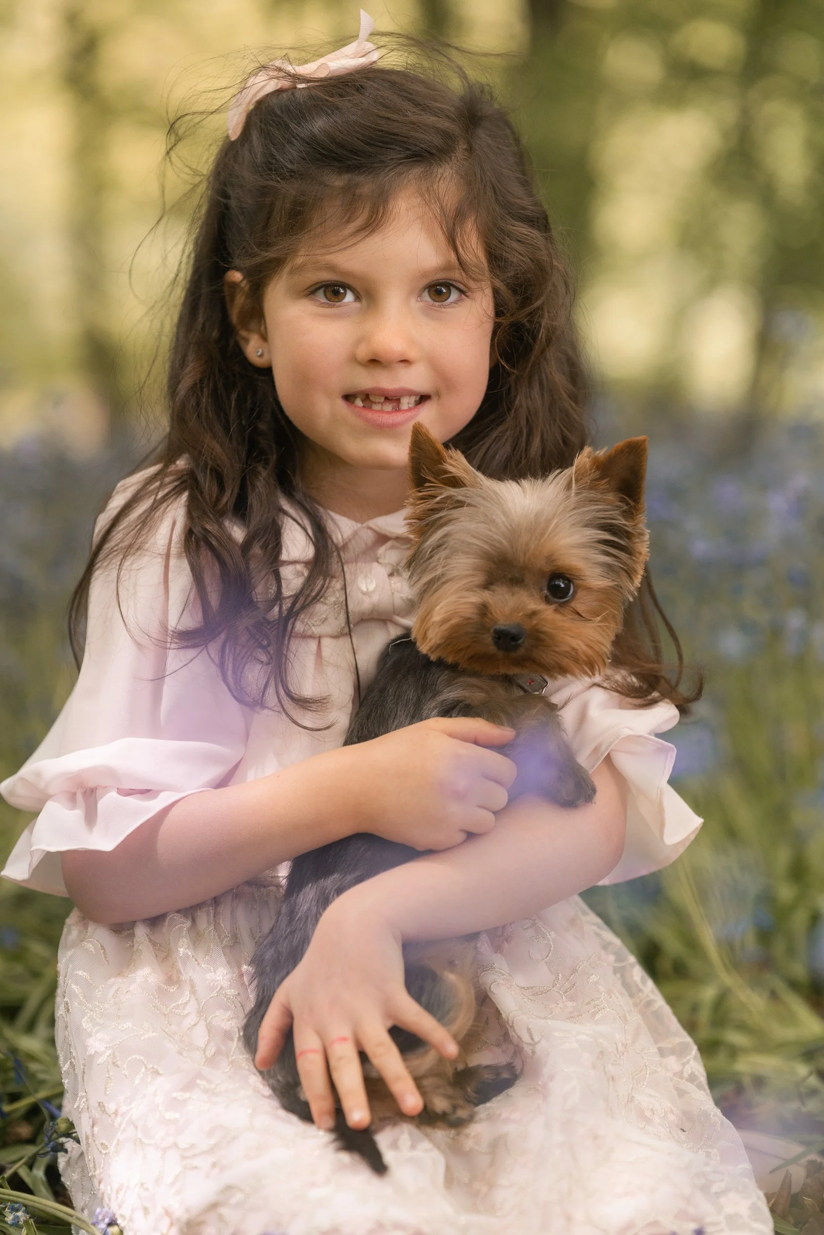 A little girl in a pink dress cuddles her Yorkshire Terrier puppy  during bluebell season in the Chiltern Hills  near Amersham, Buckinghamshire during a family photography session 