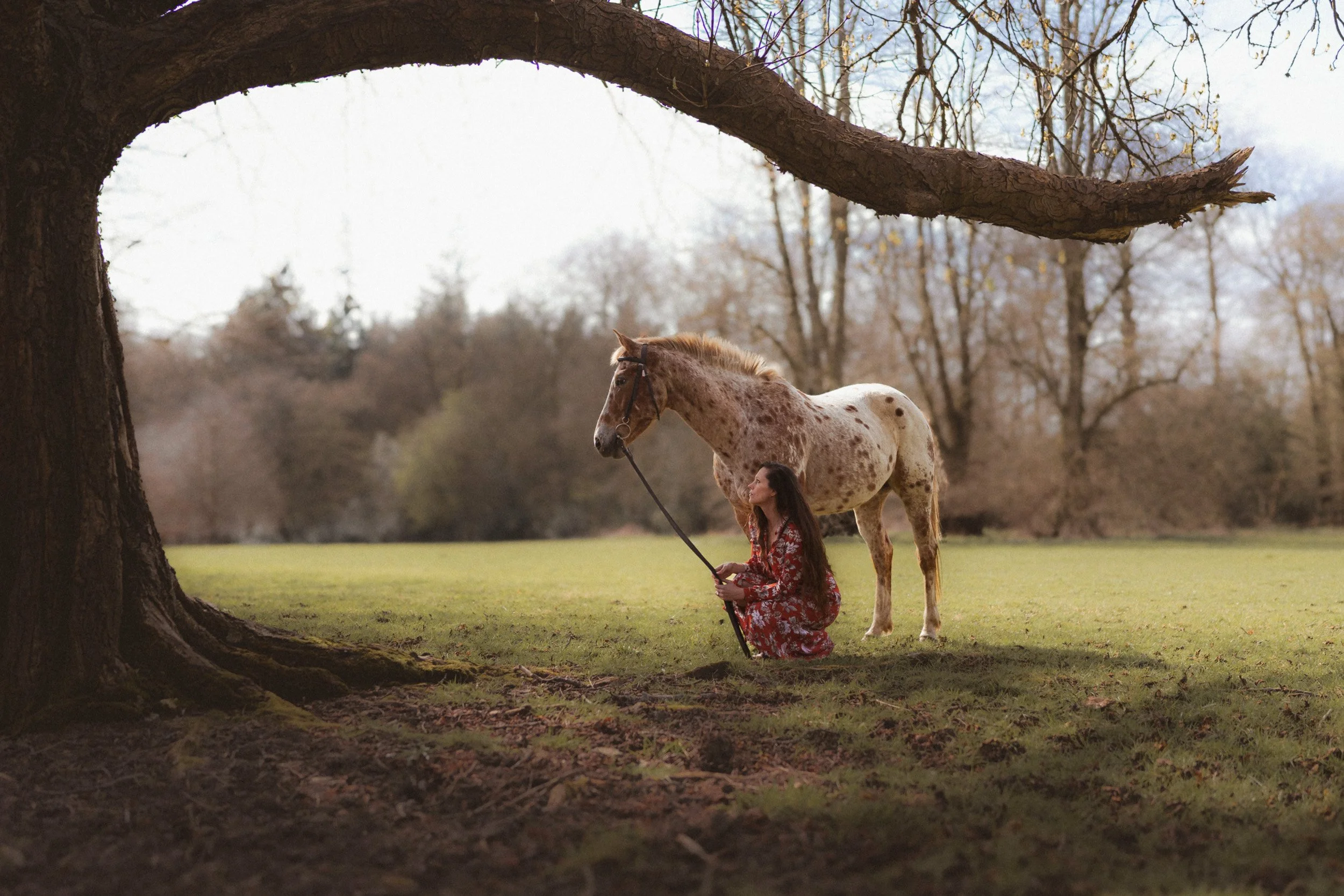 Equestrian fitness coach kneeling beside an Appaloosa polo pony under the bow of a tree  during a branding photoshoot in Penn Buckinghamshire
