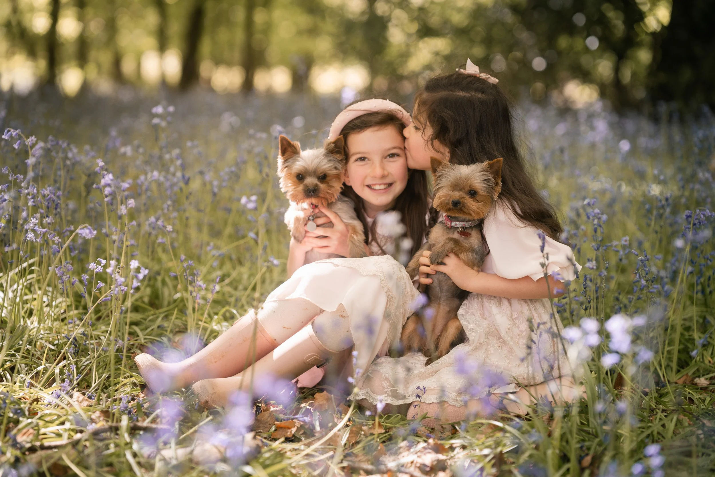 Two young sisters cuddling their Yorkshire Terrier puppies  during bluebell season in the Chiltern Hills  near Amersham, Buckinghamshire during a family photography session 