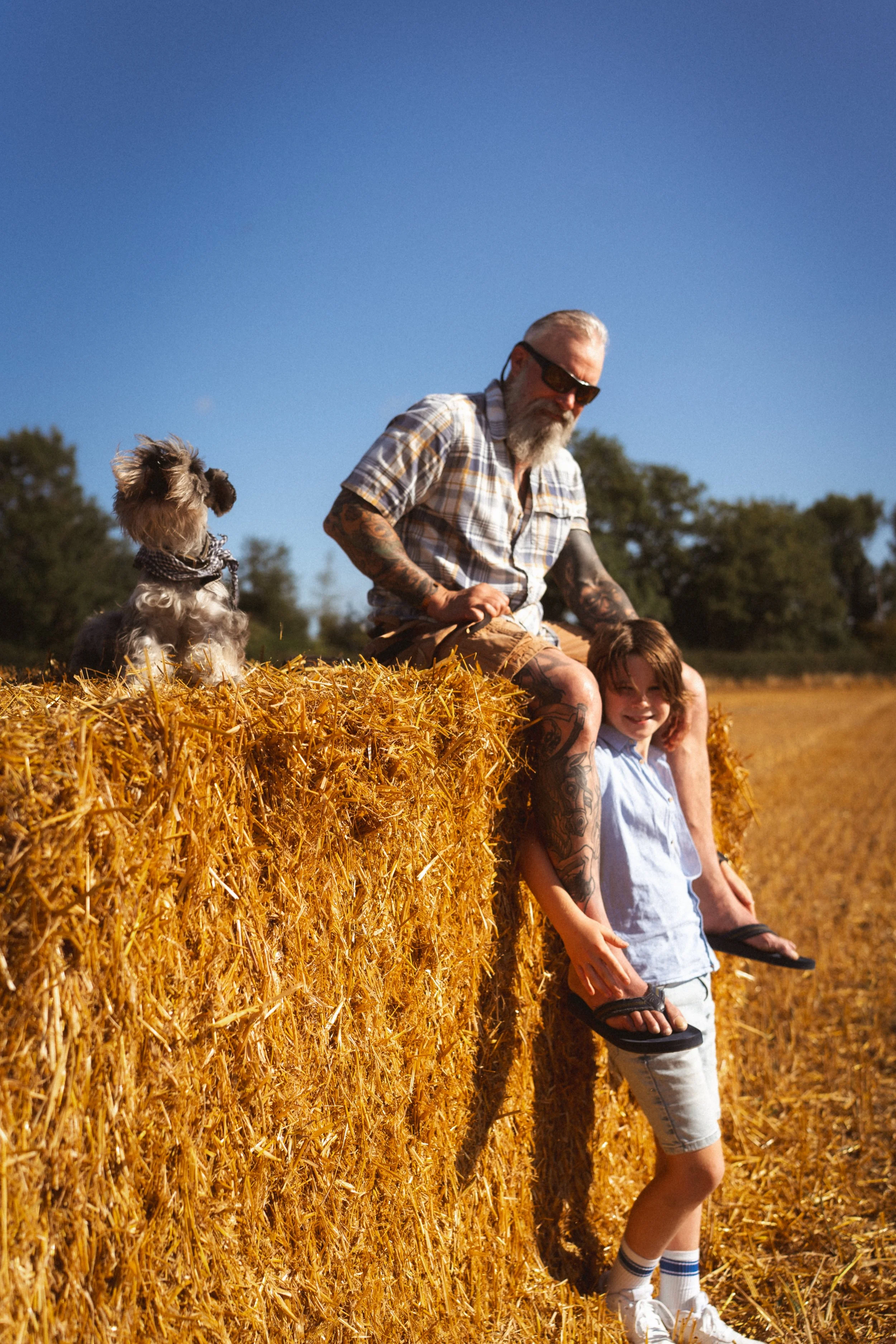 Family moment in a summer hayfield with my husband, son and dog