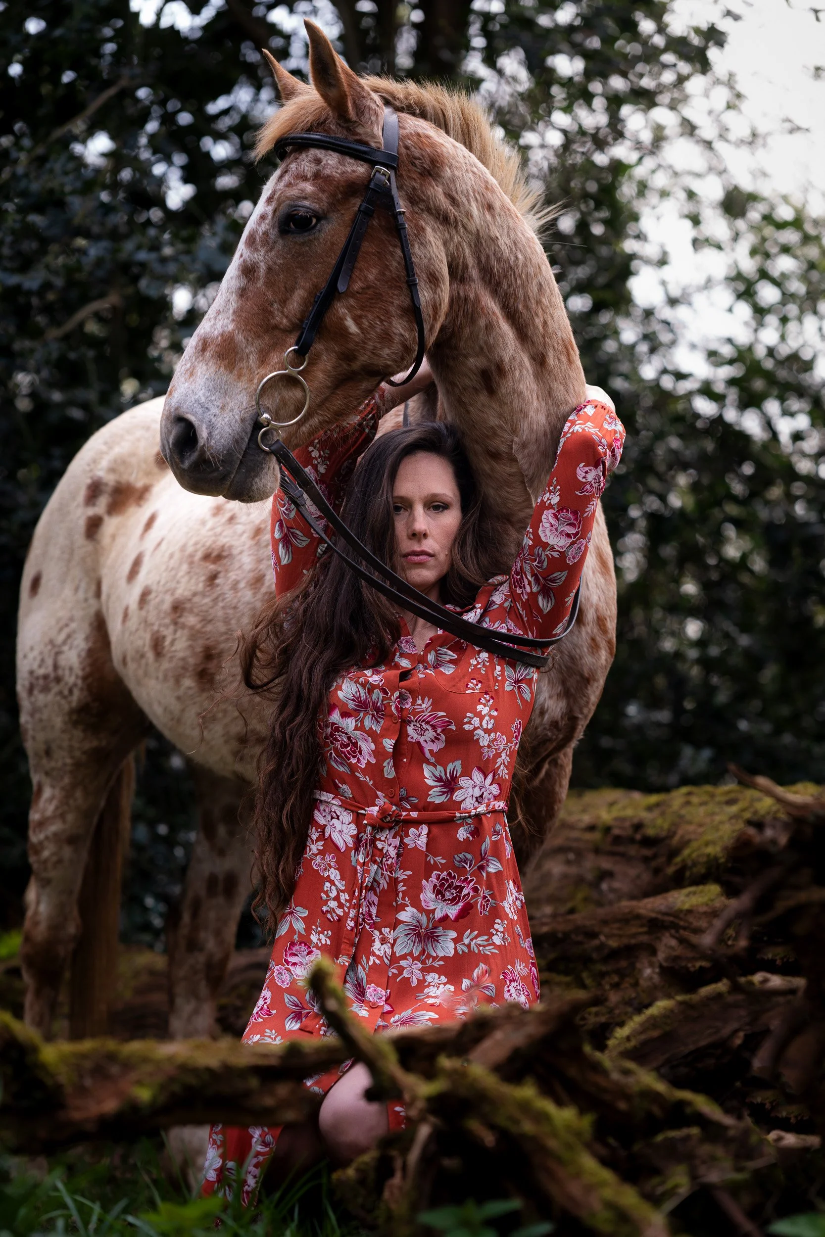 Equestrian fitness coach reaching up to cuddle with an Appaloosa polo pony  during a branding photoshoot in woodland of Penn Buckinghamshire