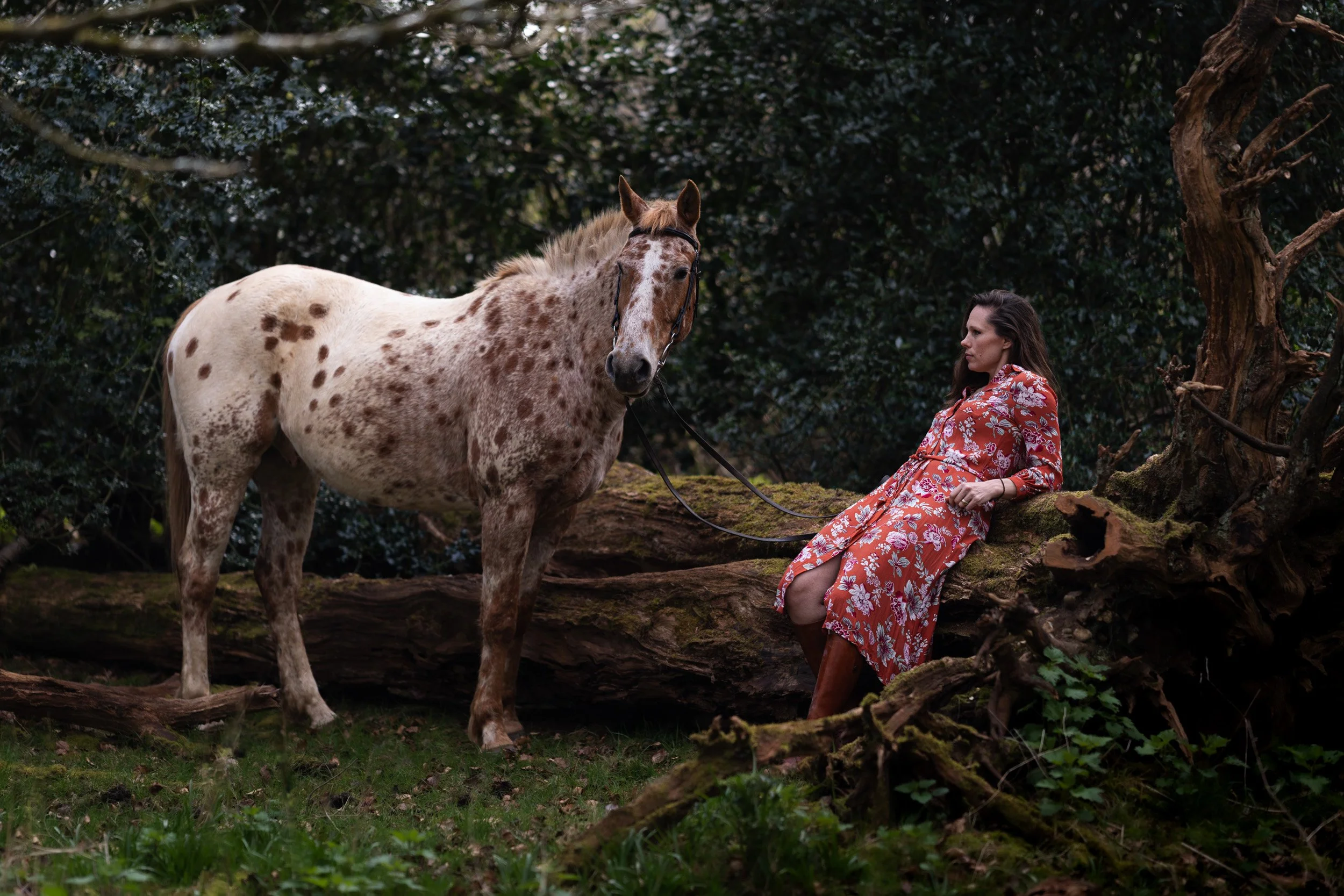 Woman in a red floral dress sitting beside a spotted Appaloosa horse in woodland in Beaconsfield, Buckinghamshire