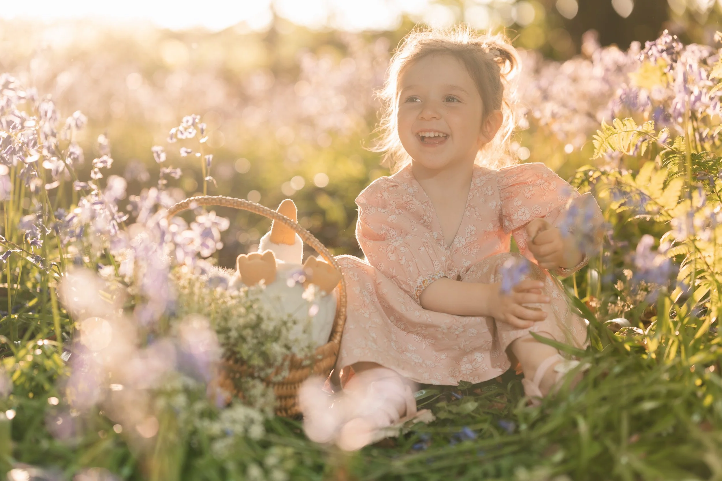 Toddler girl sitting among the flowers during bluebell season in the Chiltern Hills  near Amersham, Buckinghamshire during a family photography session 