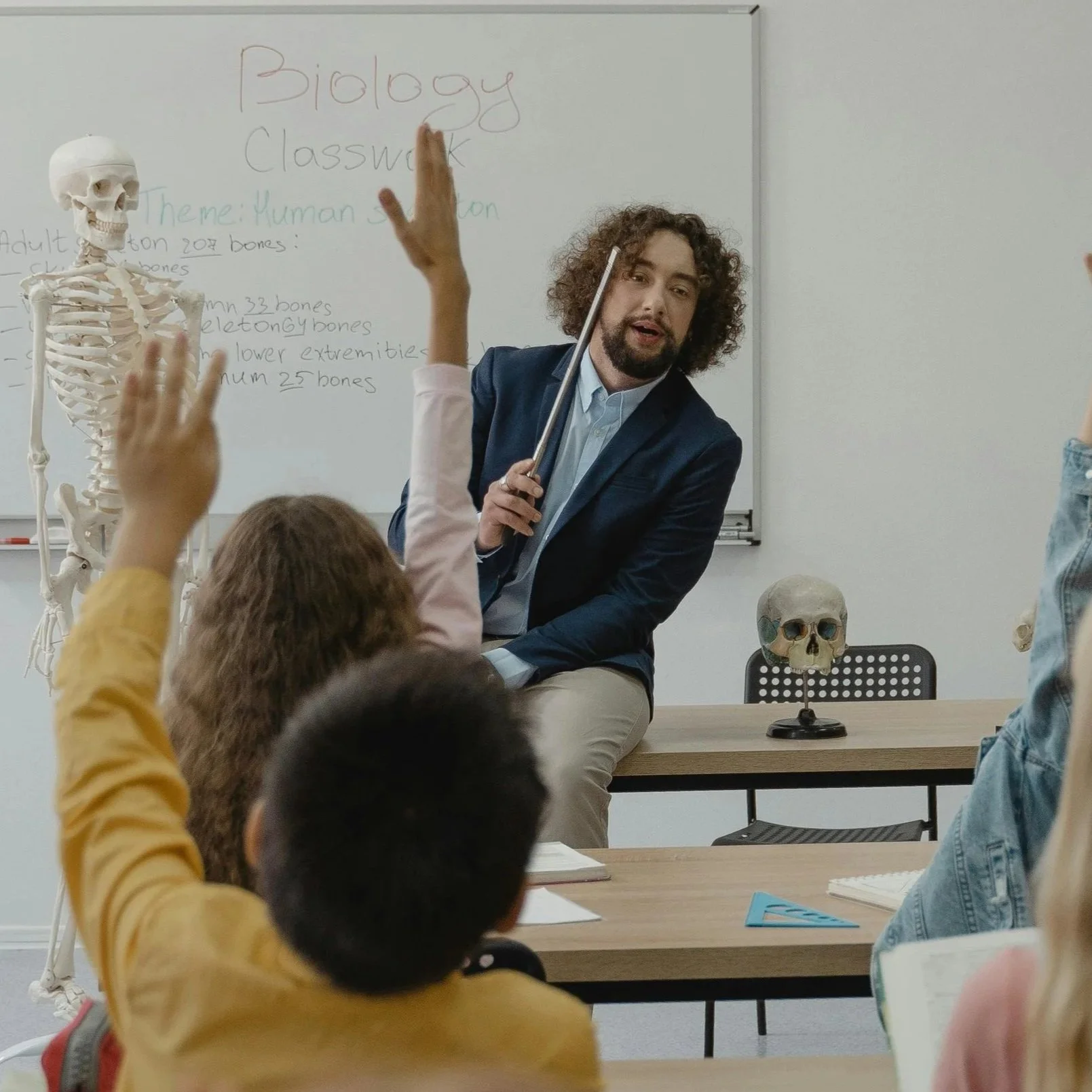 A biology teacher with curly hair and a beard is sitting on a desk in front of students in a classroom, holding a pointer and discussing human bones. Several students are raising their hands. A whiteboard behind the teacher has notes about biology topics, and a human skeleton and skull models are present in the classroom.