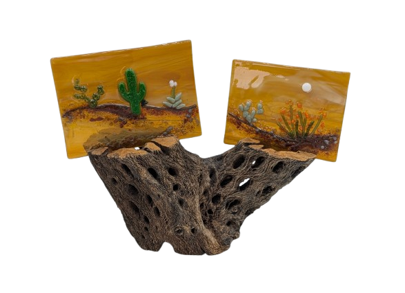 double_desert_scene_on_amber_on_cholla-removebg-preview.png