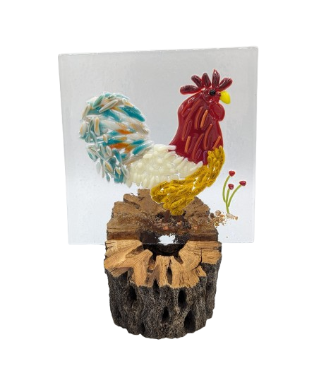 5_x_5_rooster_on_cholla-removebg-preview.png