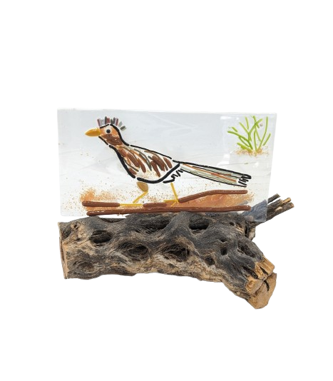 4_x_6_roadrunner_on_cholla-removebg-preview.png