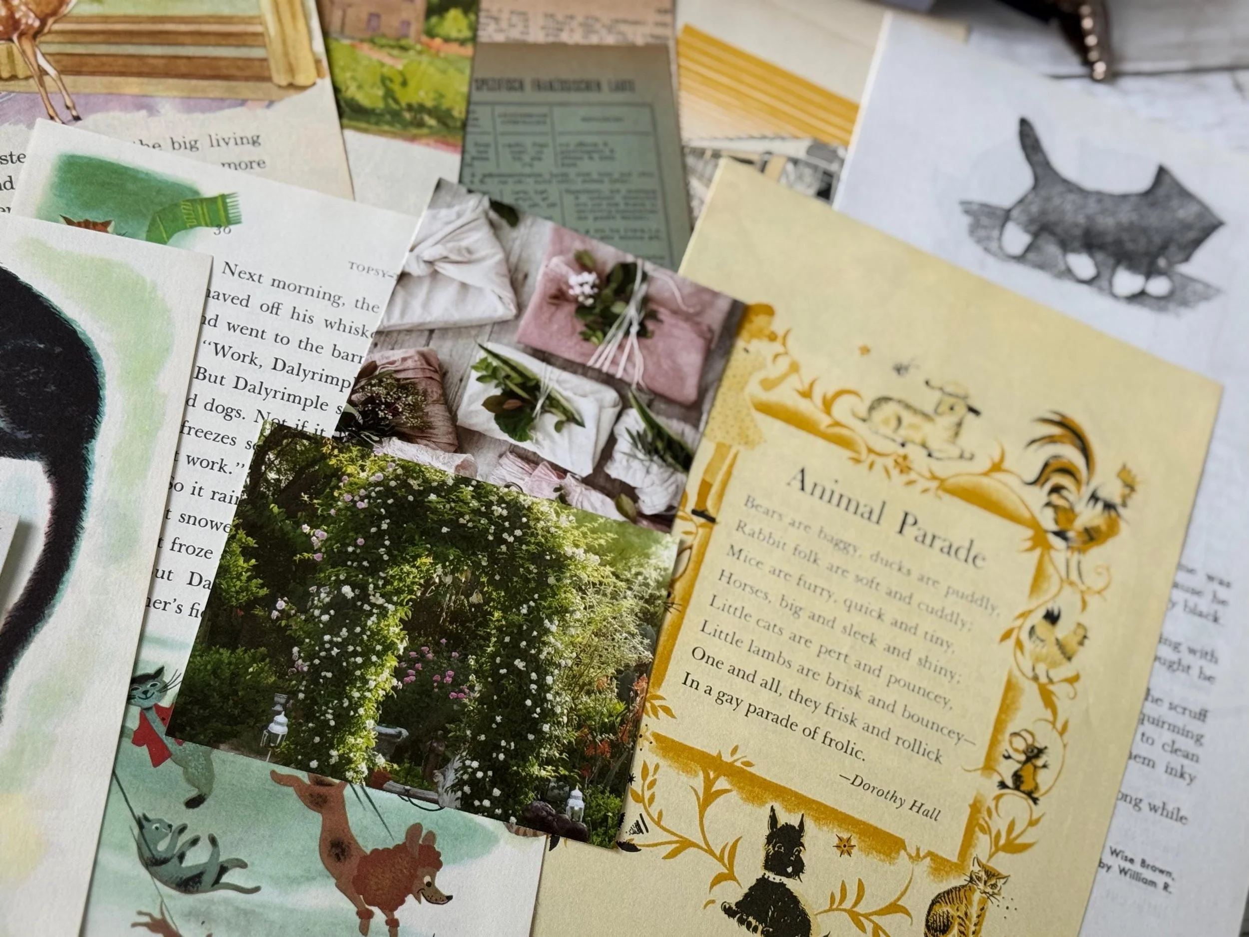 Showcasing a variety of items from a curated journal kit.