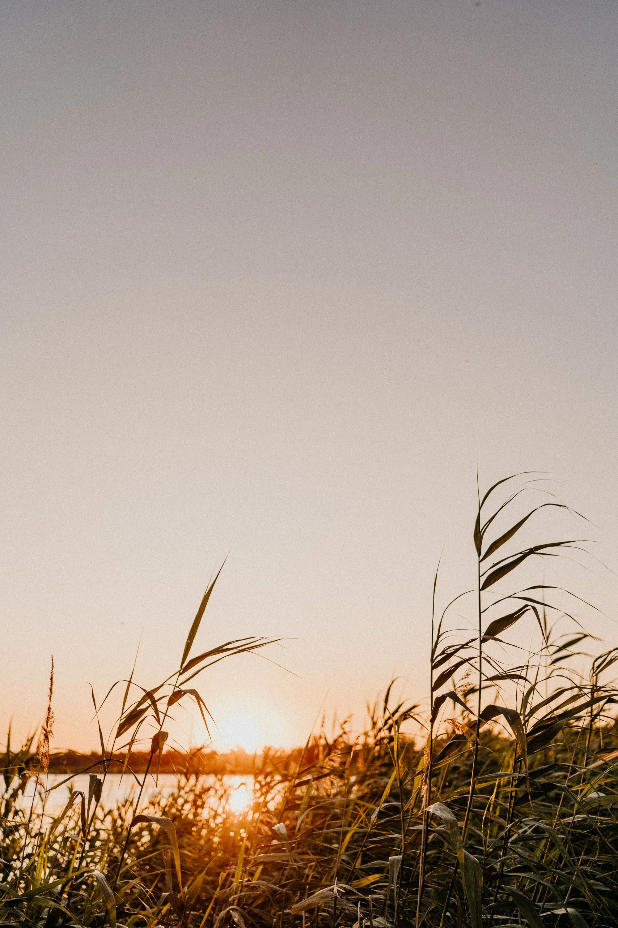 Hypnosetherapie in Nürnberg – Ablauf, Kosten &amp; Wirkung