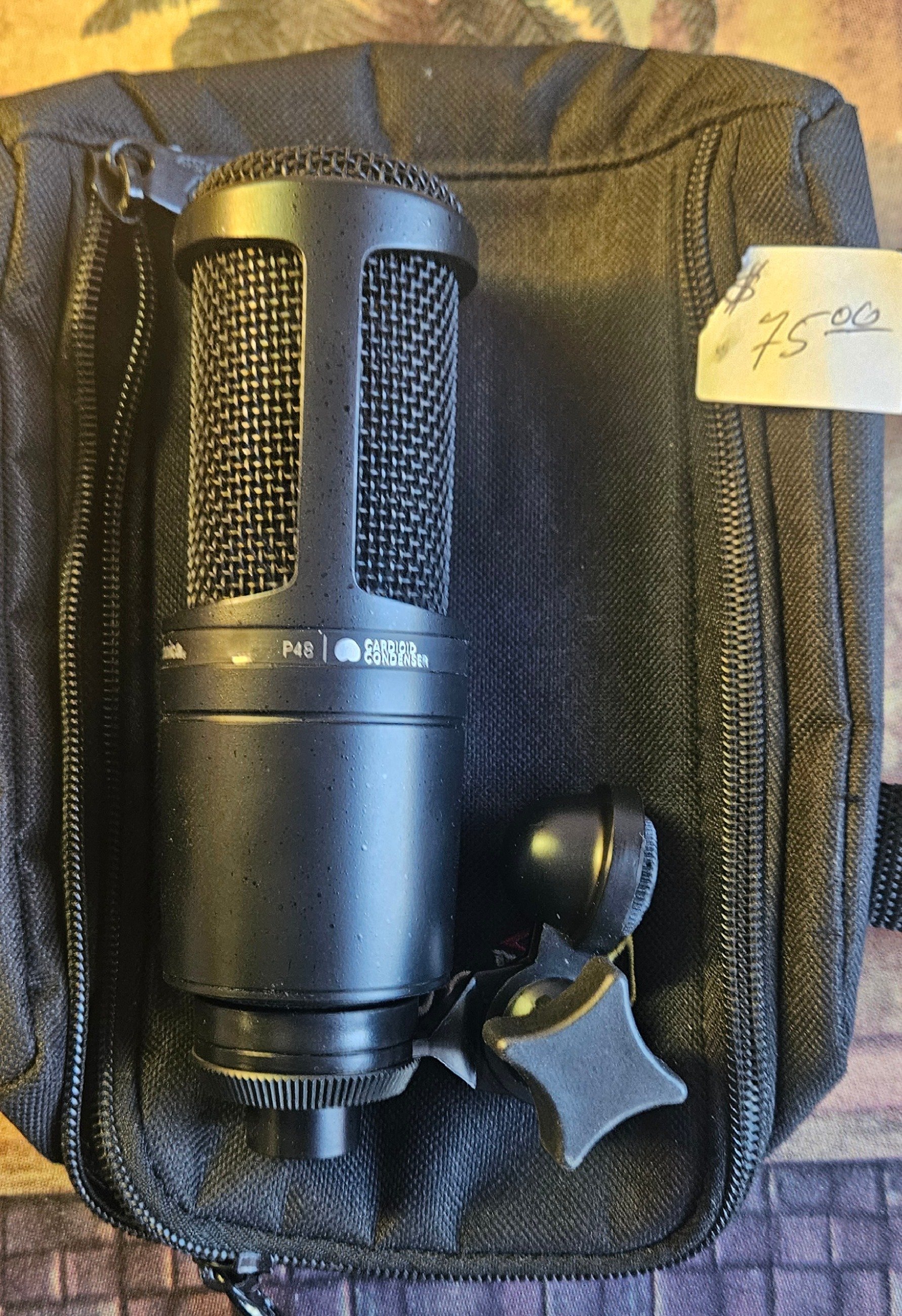Professional Cardioid Condenser Microphone with Carrying Case