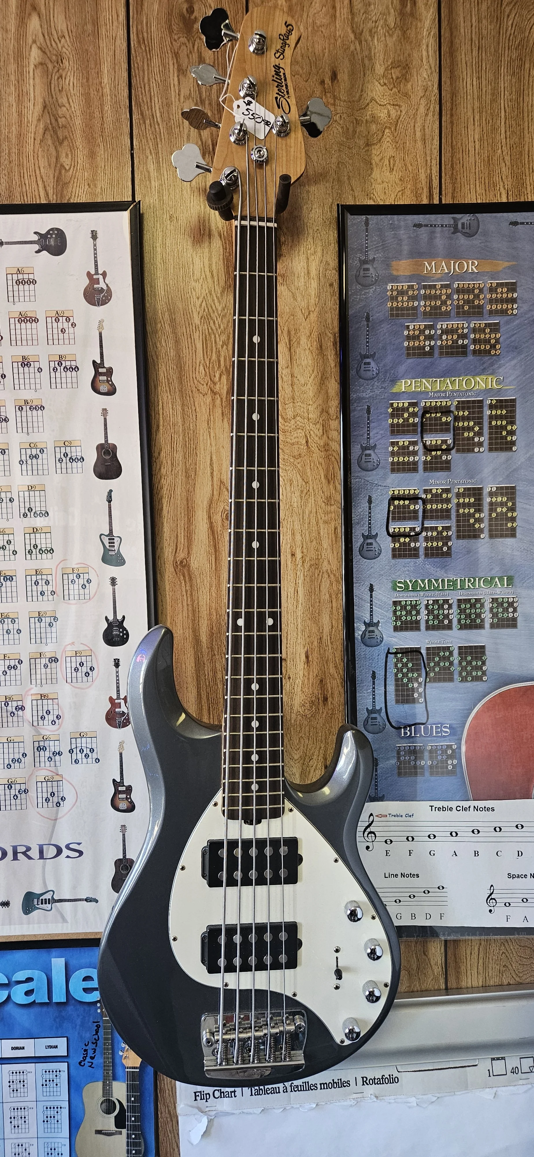 Sterling by Music Man Bass Guitar 5 string