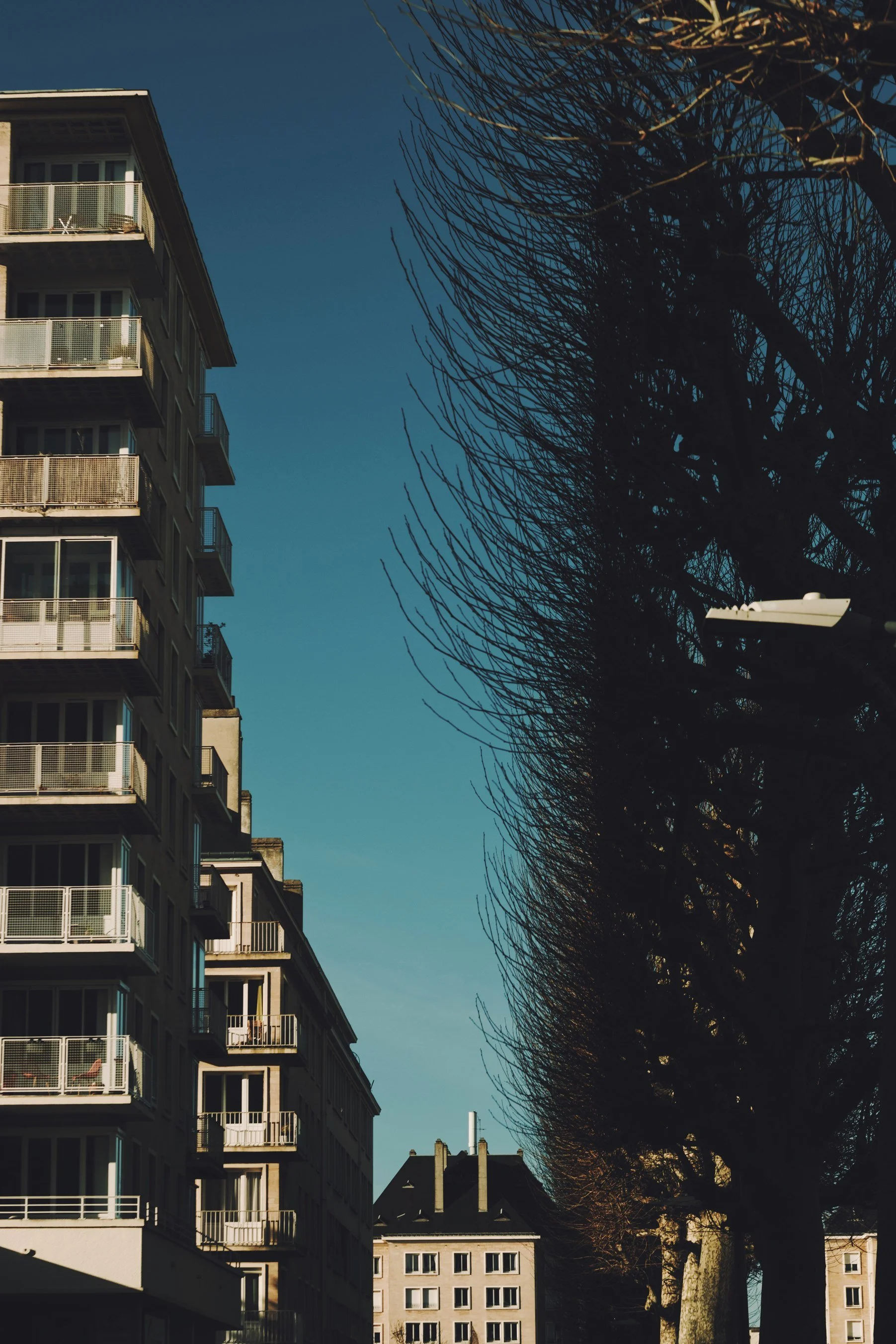 A741DA5D-5514-48CD-86CA-D6CDB41F1422 (1).jpg