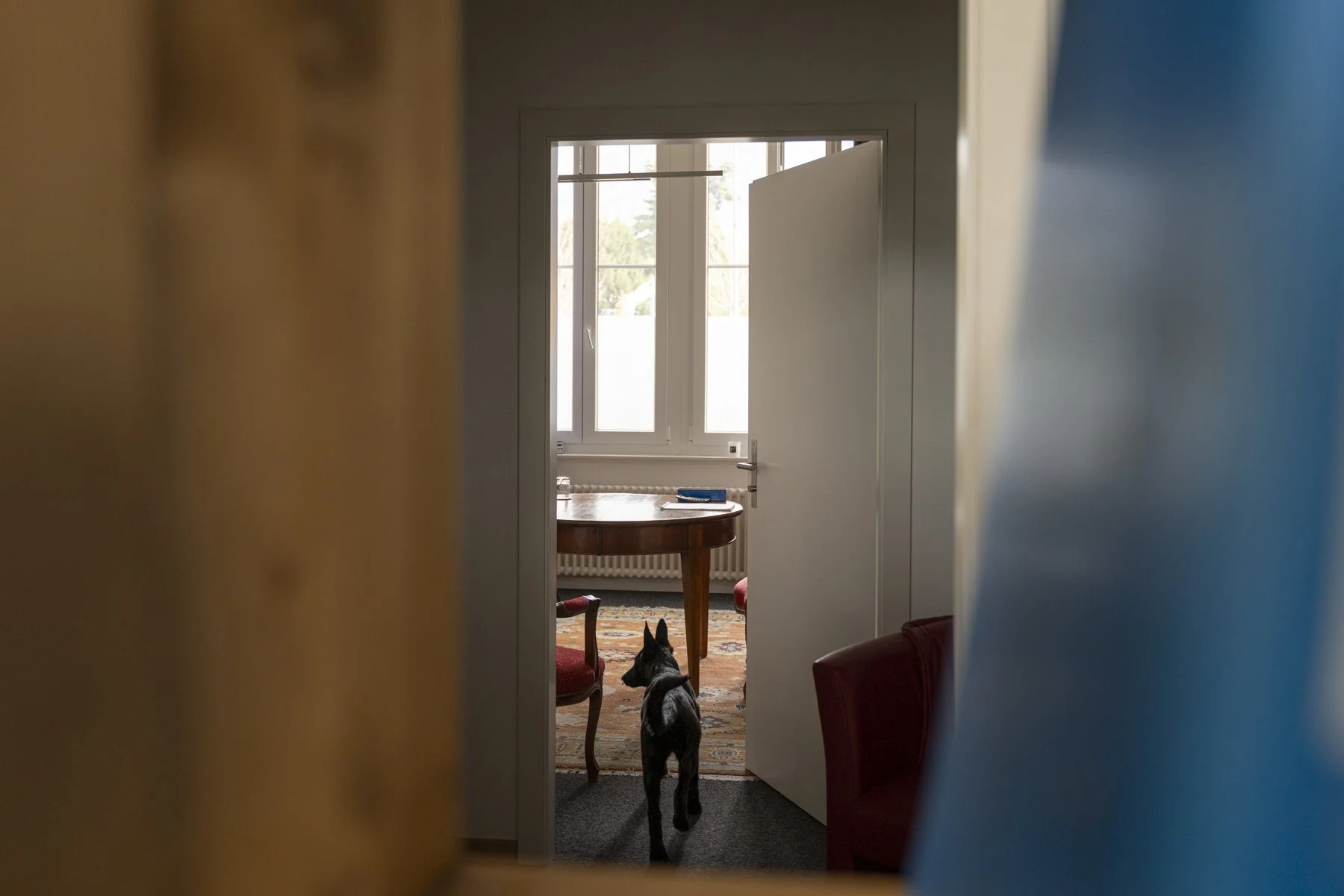 avocate médiatrice médiation Aigle canton de Vaud Ollon Monthey Collombey Villeneuve