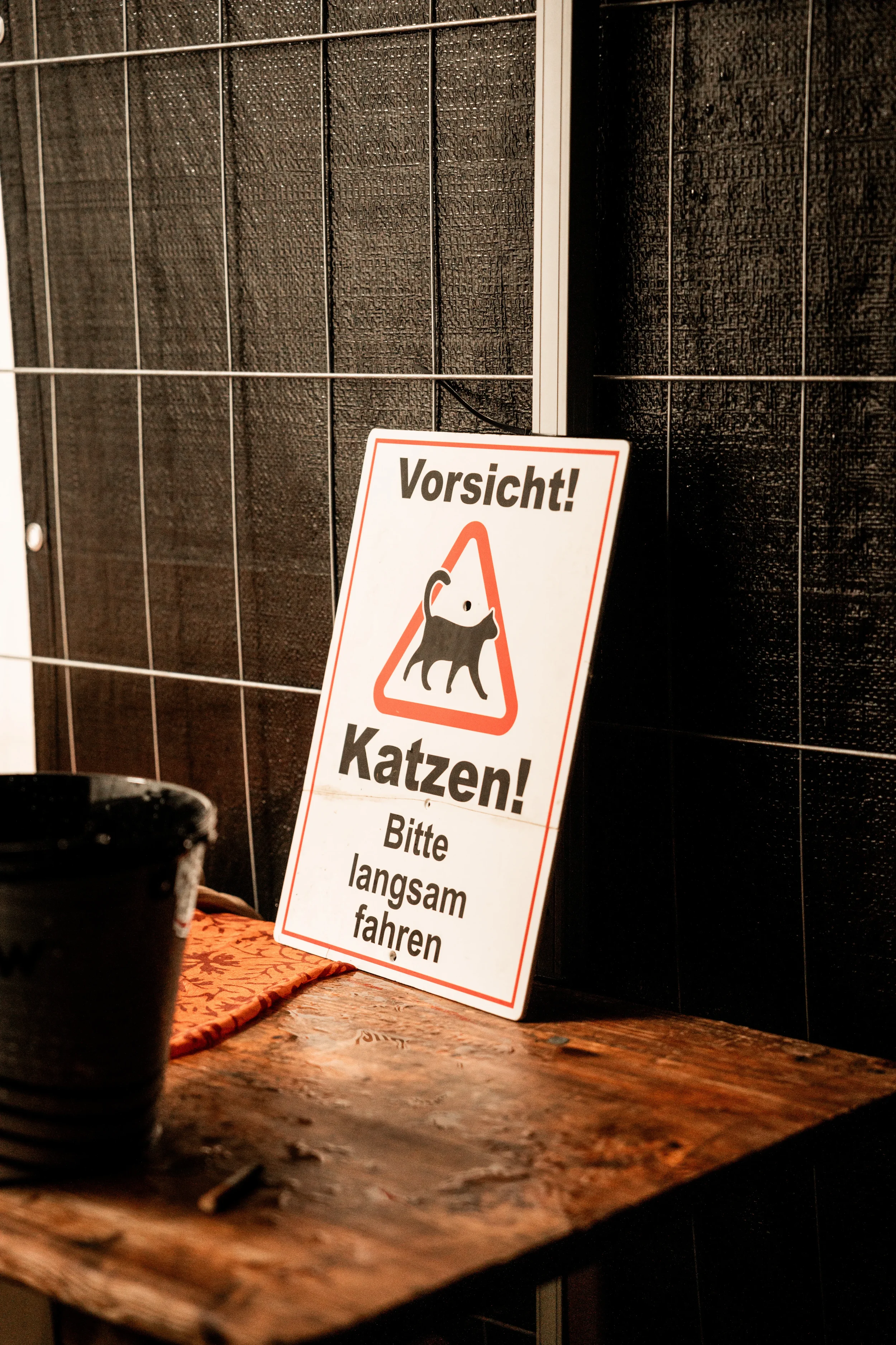 Sensebeschallung Festival 2025 Cats