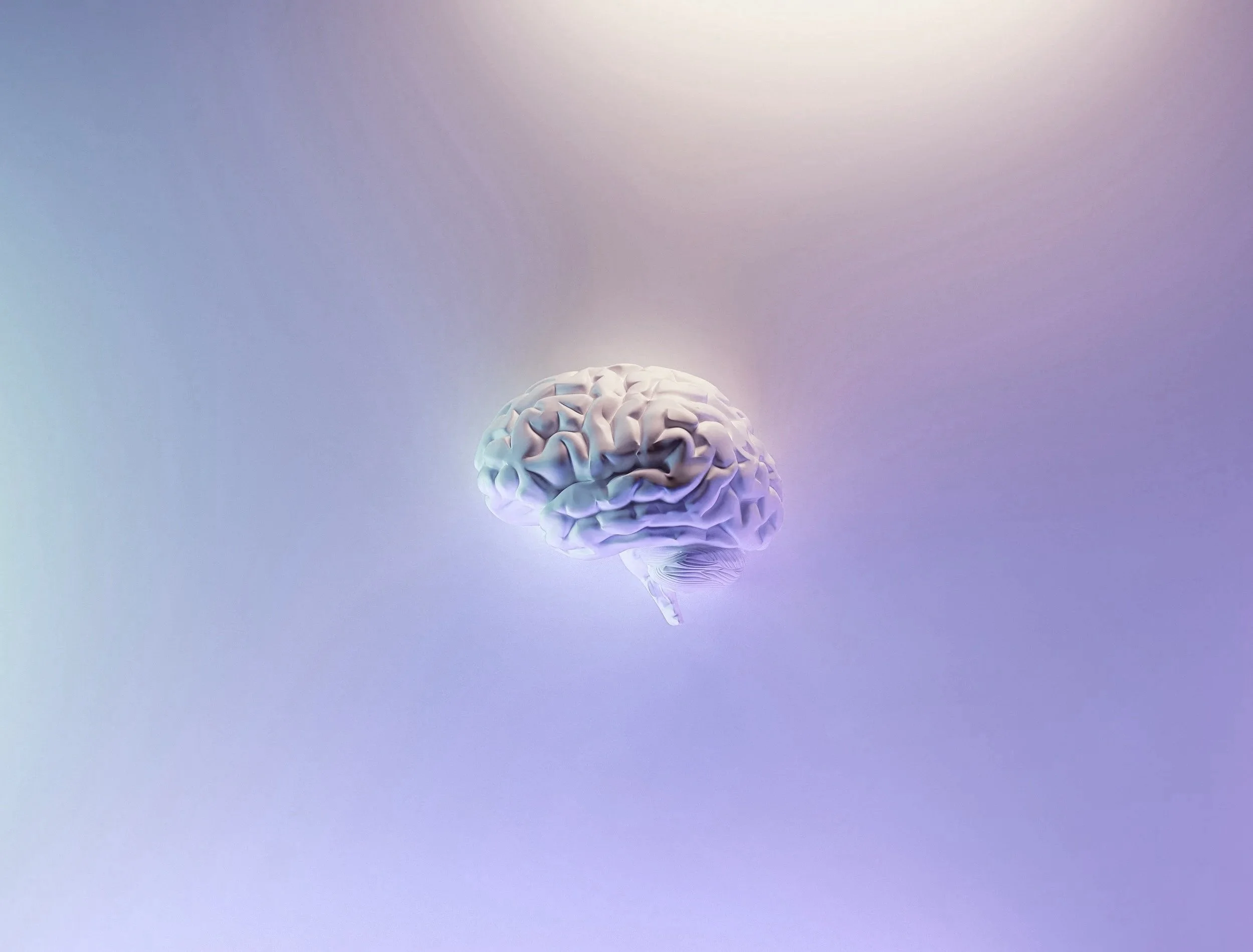 A digital illustration of a human brain, depicted in a light gray color, set against a gradient background that transitions from pastel blue to purple. The brain is positioned near the bottom of the image.