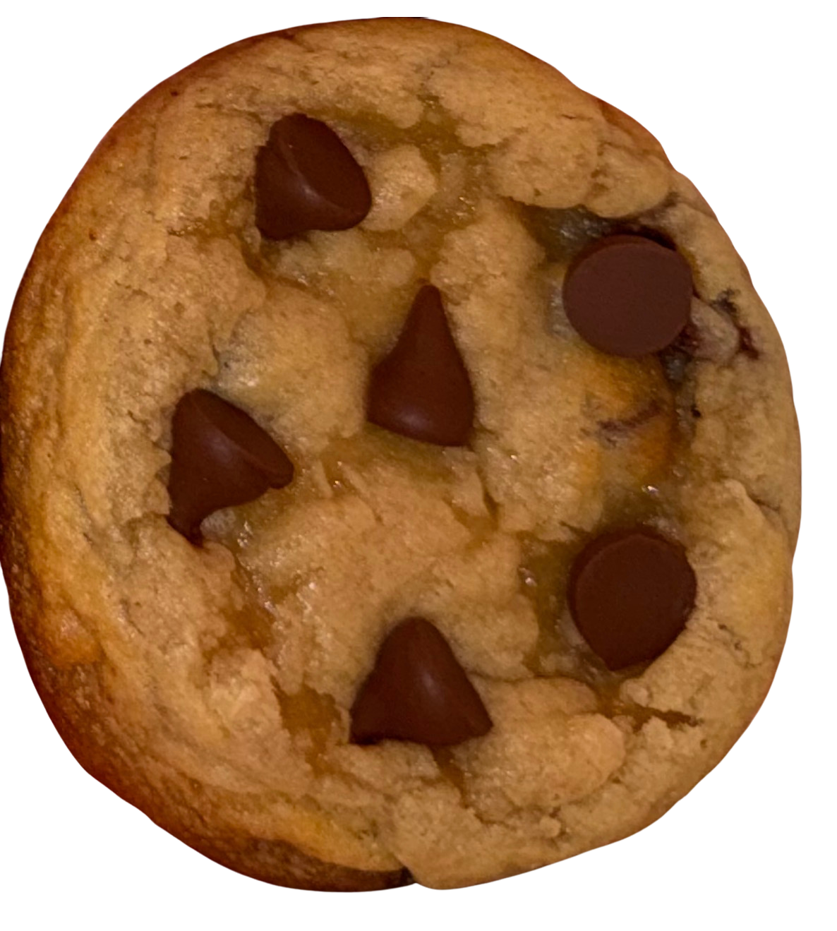 Salted Brown Butter Chocolate Chip Cookie