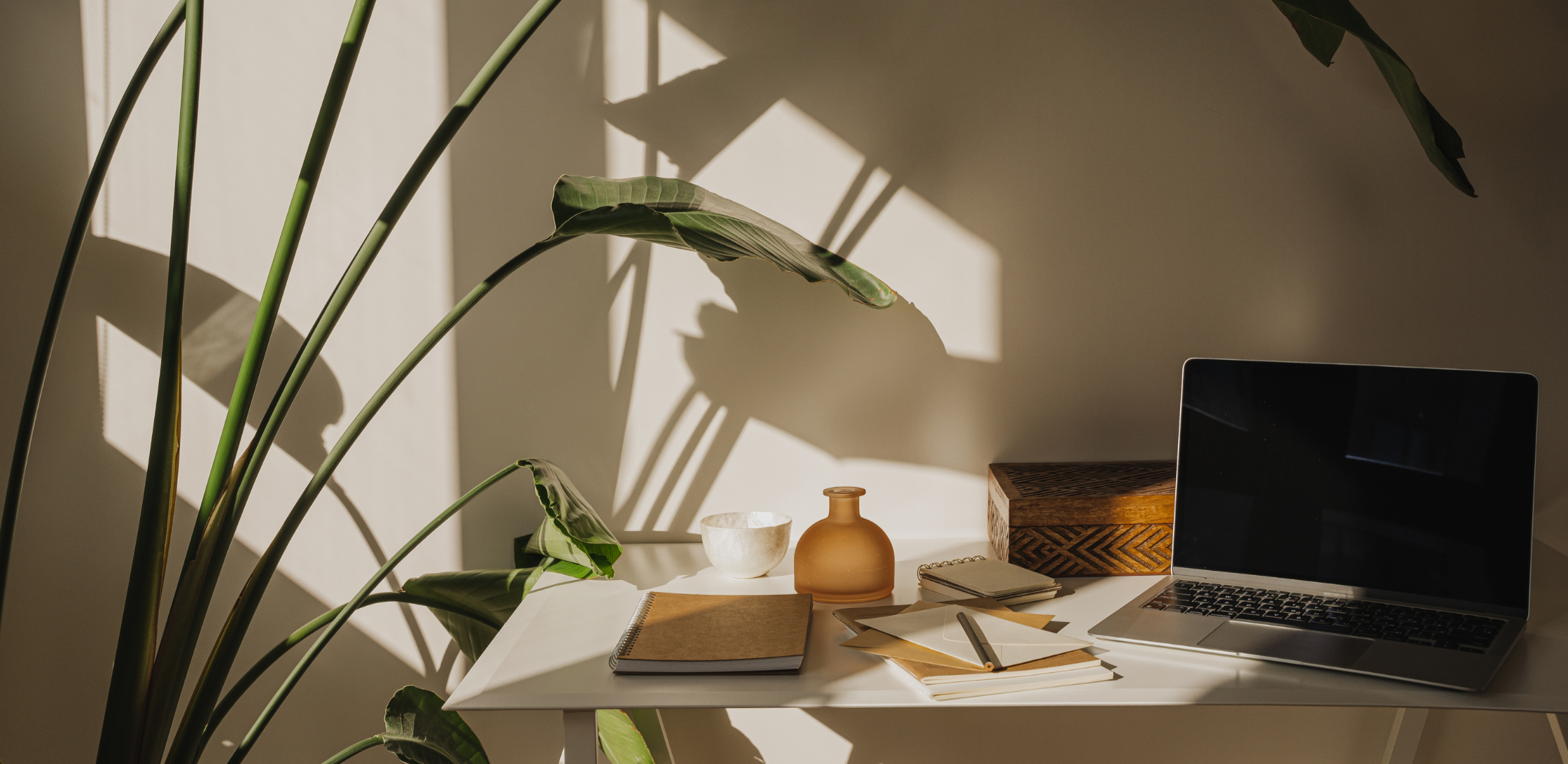 Sunlit workspace with a white desk, a laptop, notebooks, a small ceramic bowl, a brown vase, and a wooden box, surrounded by large green houseplants casting shadows on the wall.
