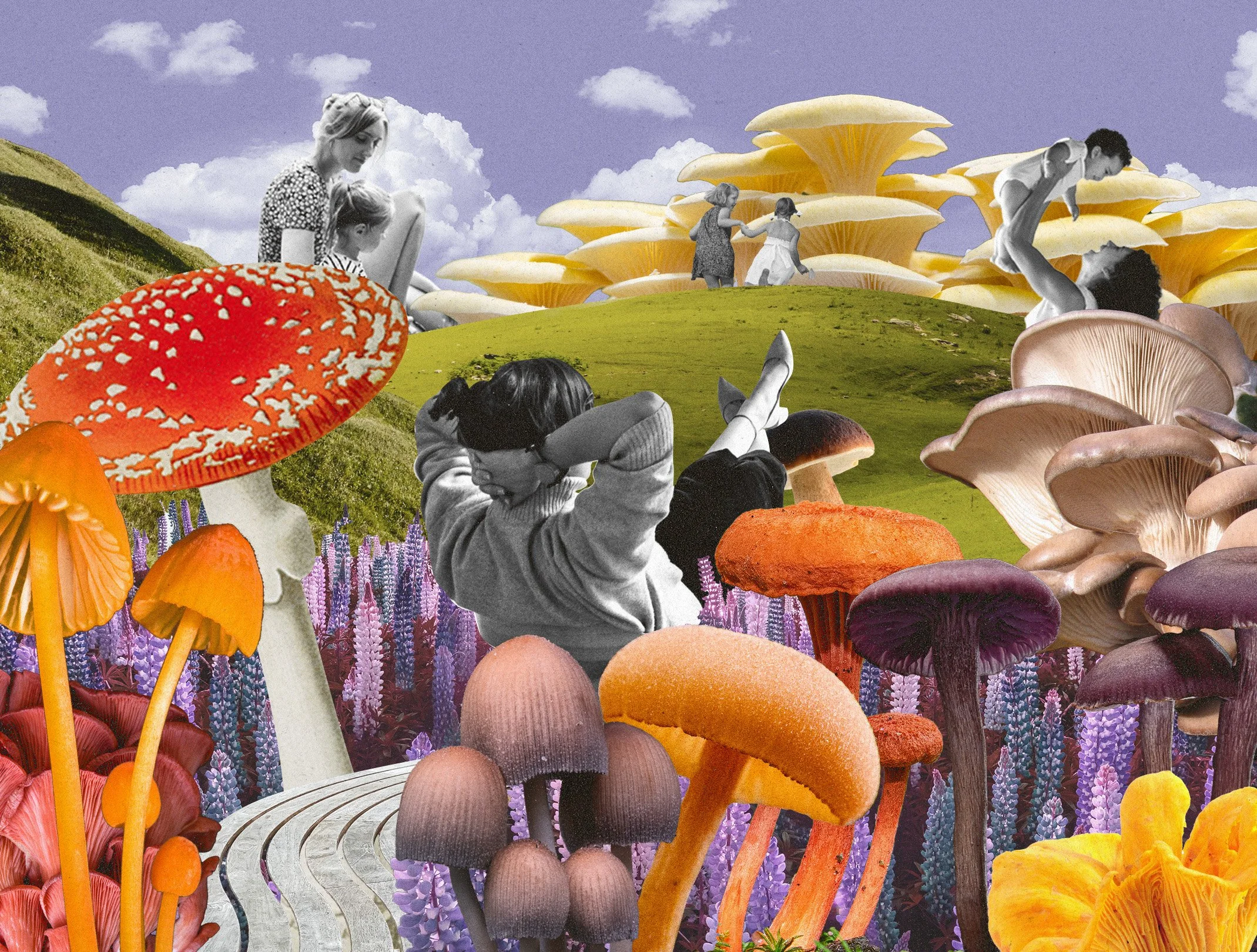 MushroomMoms_Header.jpg