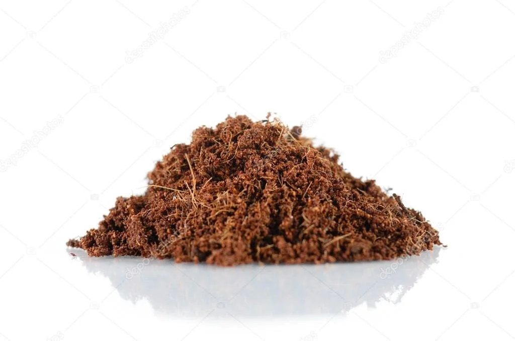 Organic Coconut Fertilizer
