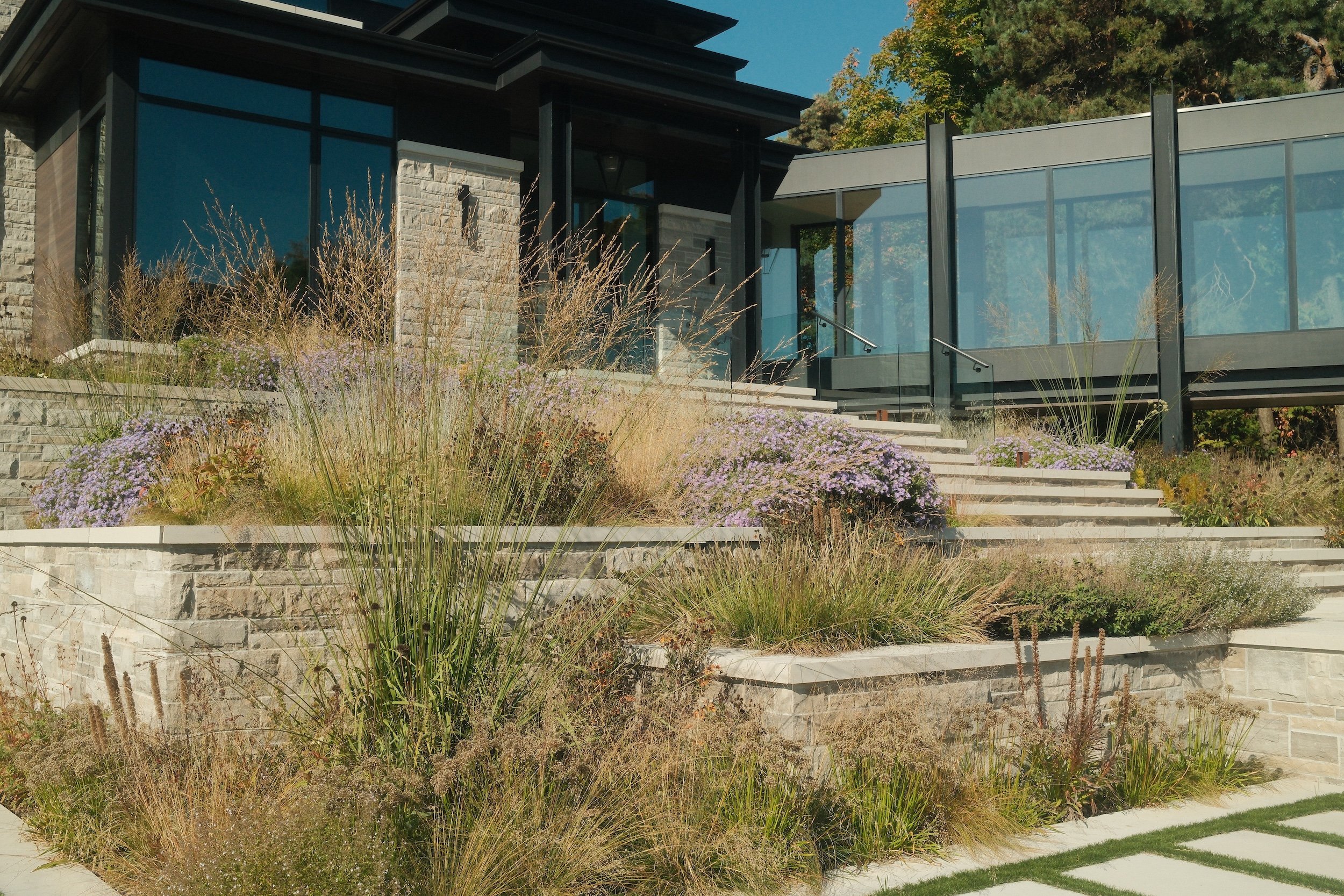 Modern house with glass and stone facade, surrounded by tiered garden beds with ornamental grasses and purple flowering plants, and steps leading up to the entrance.