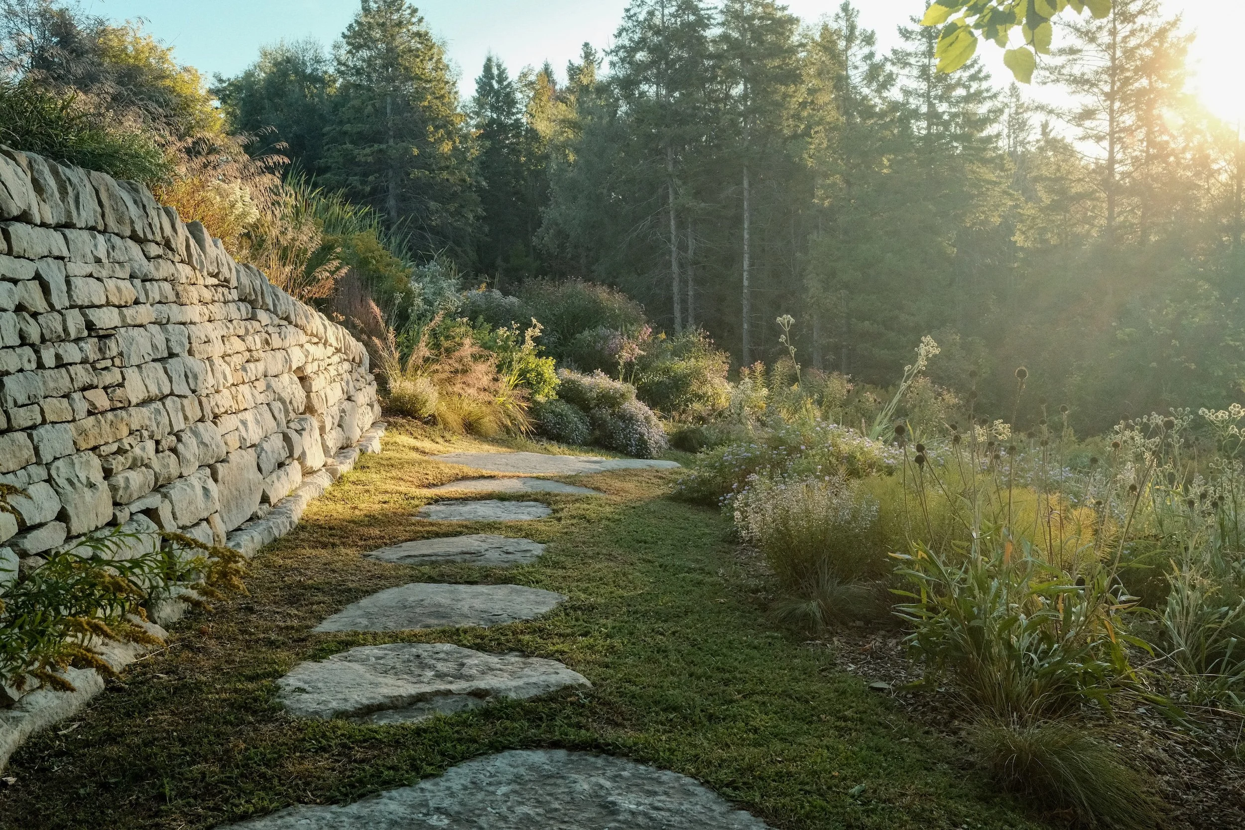 hockley hillside garden 2026 -2.jpg