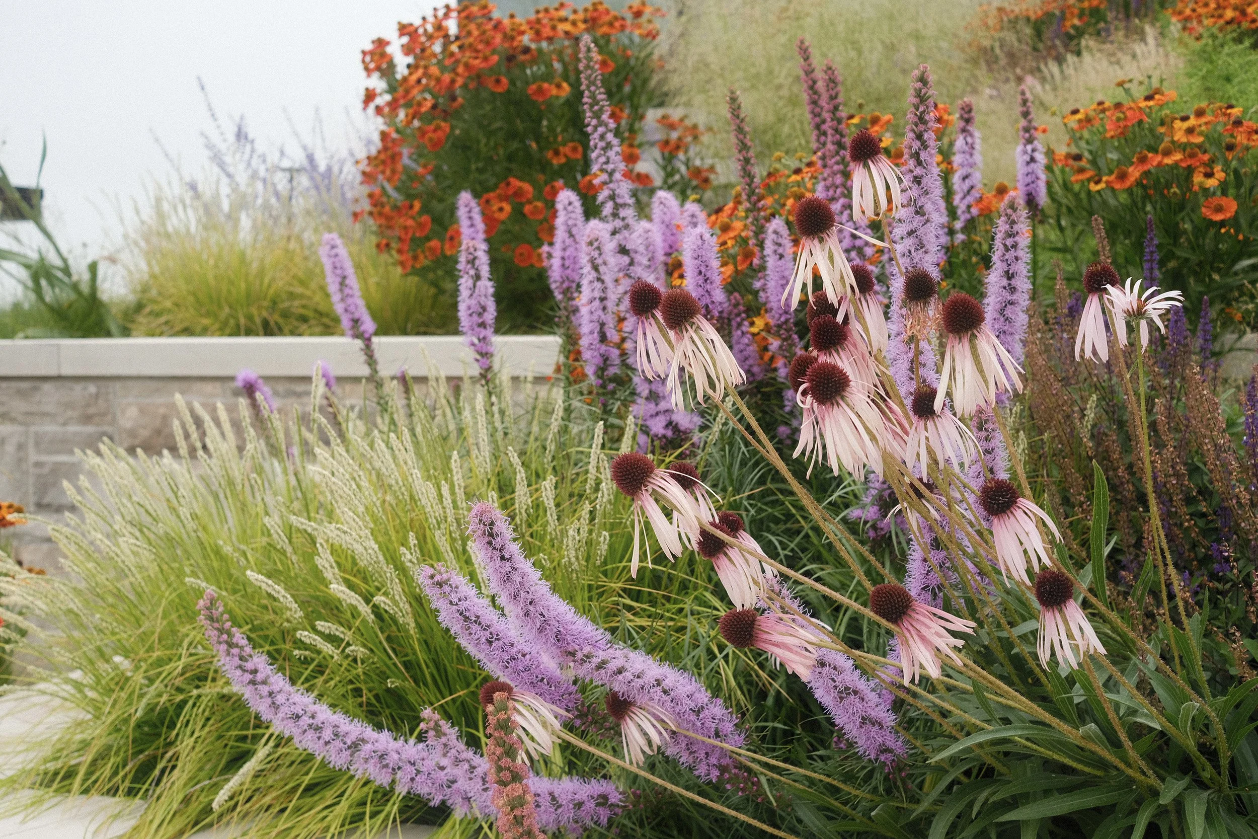 A vibrant garden with purple, pink, and orange flowers, including echinacea, liatris, and helenium, arranged along a stone border.