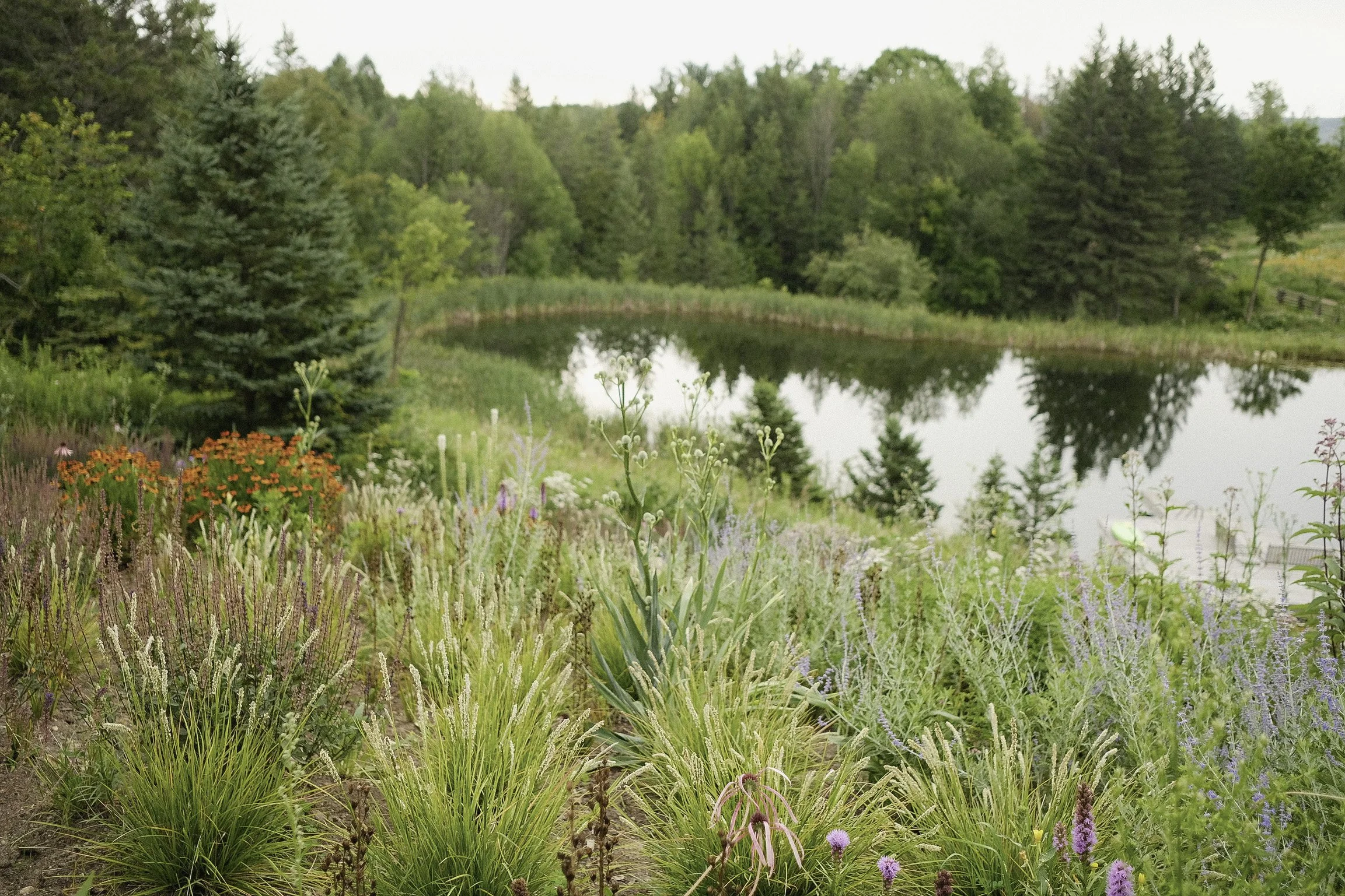 A lush garden with colorful flowers and greenery beside a pond, surrounded by trees.