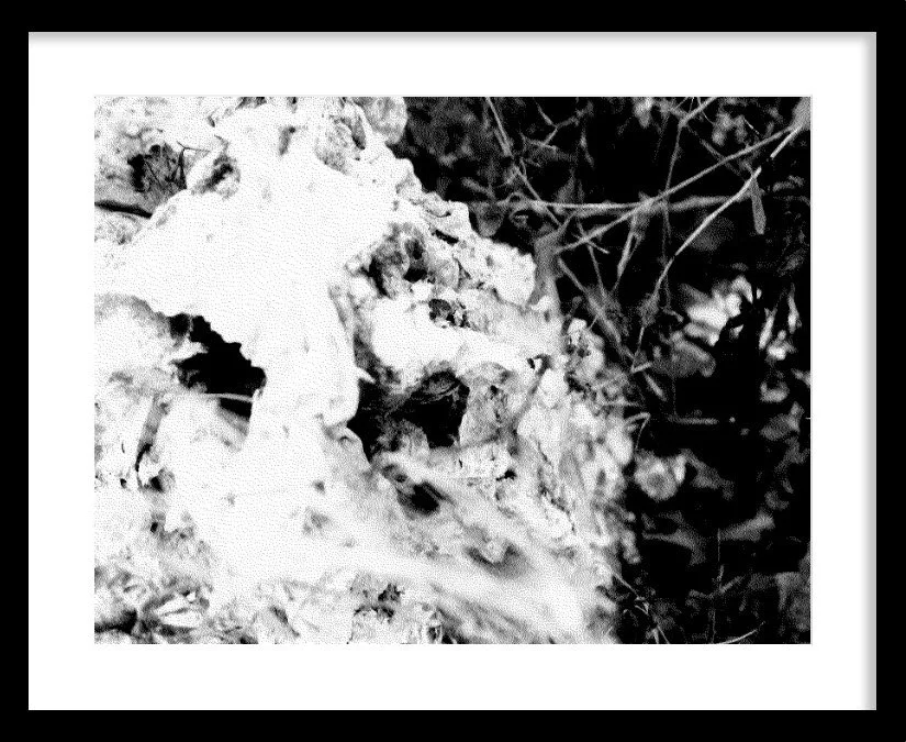 Becoming by Korynn Newville (2020), Archival pigment print | $450