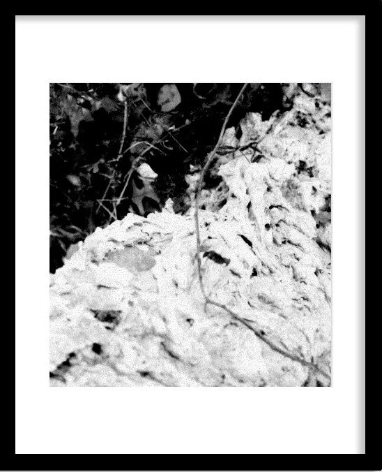 Softening by Korynn Newville (2020), Archival pigment print | $450