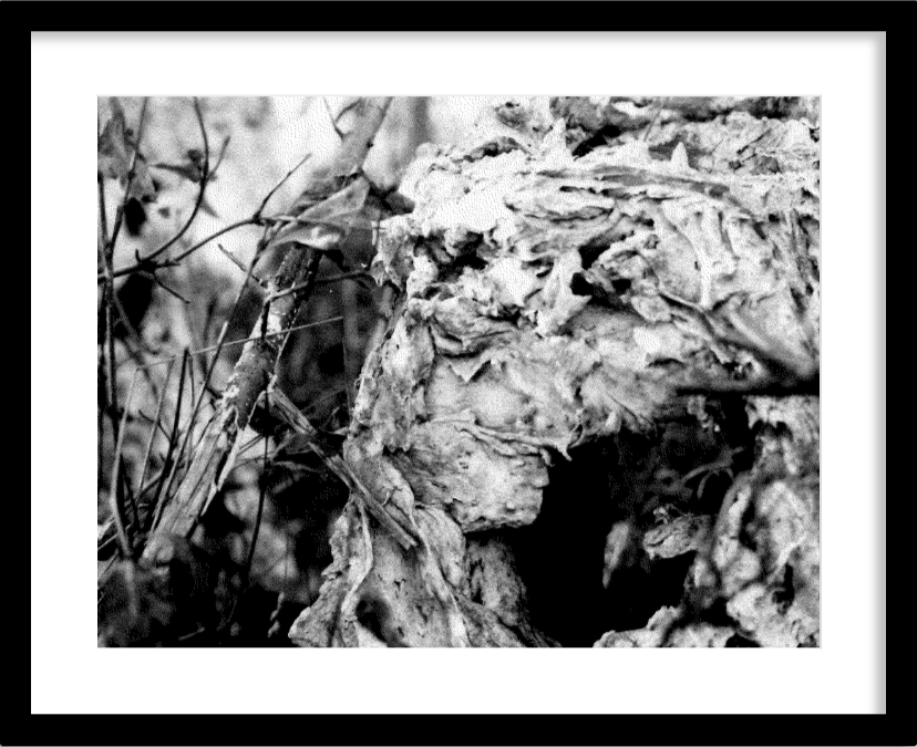 Opening by Korynn Newville (2020), Archival pigment print | $450