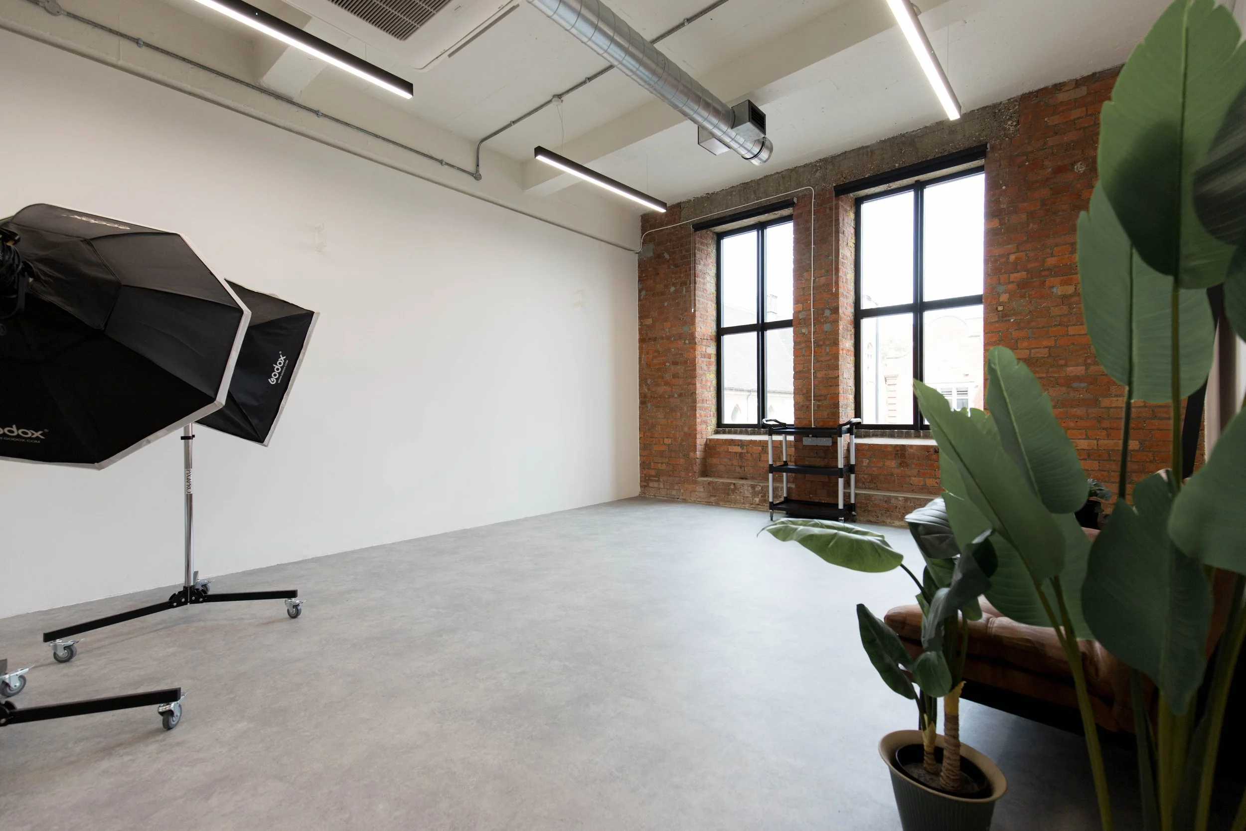 An empty modern room with large windows, exposed brick walls, a white wall, and industrial-style ceiling with ducts and lights. There is studio equipment including a softbox on a stand and some plants in the foreground.