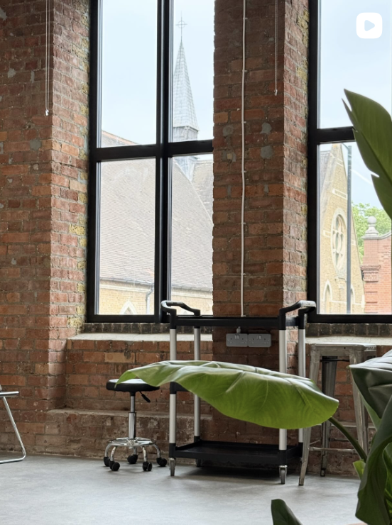 Interior view of a room with large windows, exposed brick walls, and a potted plant in the foreground.