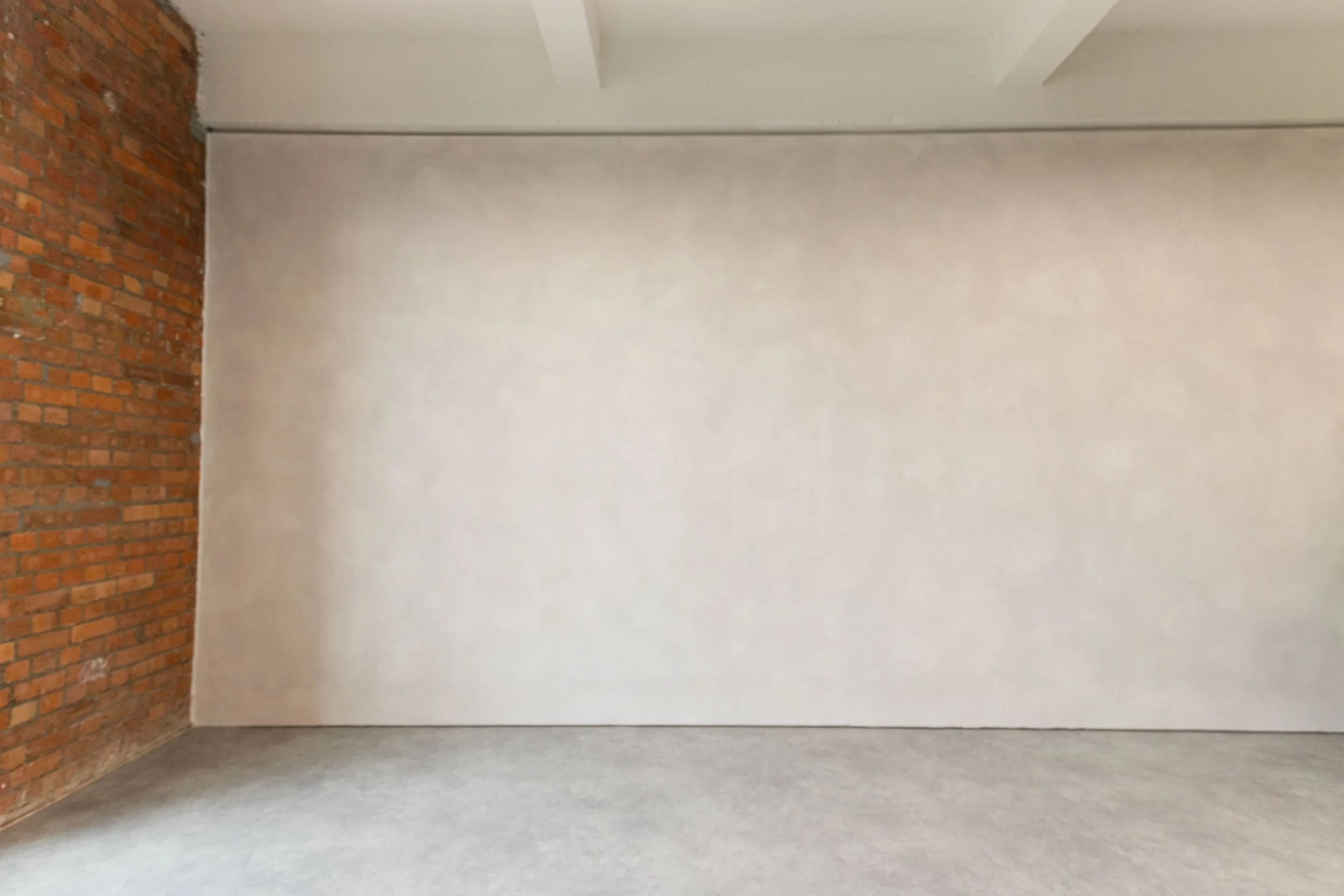 Interior space with white walls, a brick wall section on the left, gray carpeted floor, and visible ceiling beams.