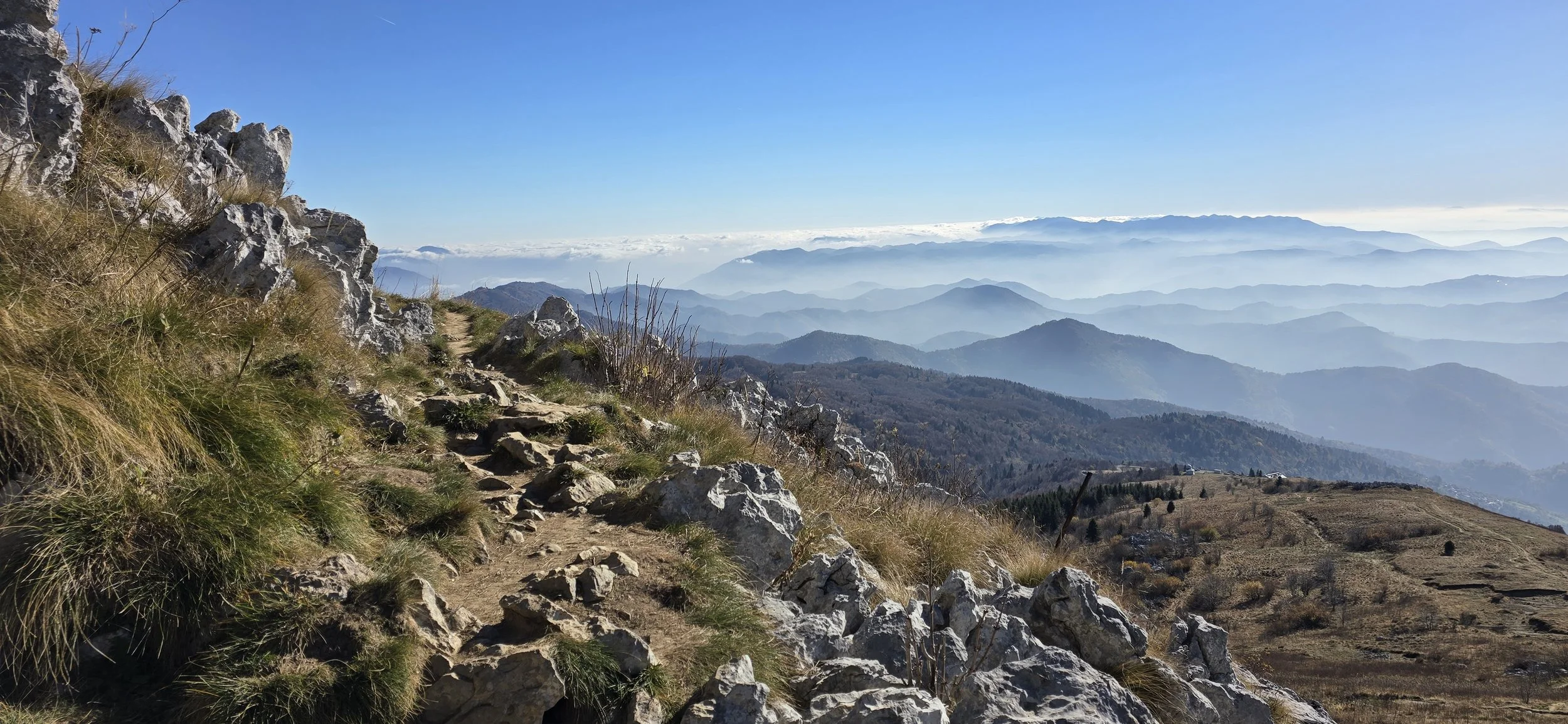 20241111_105428 (1).jpg