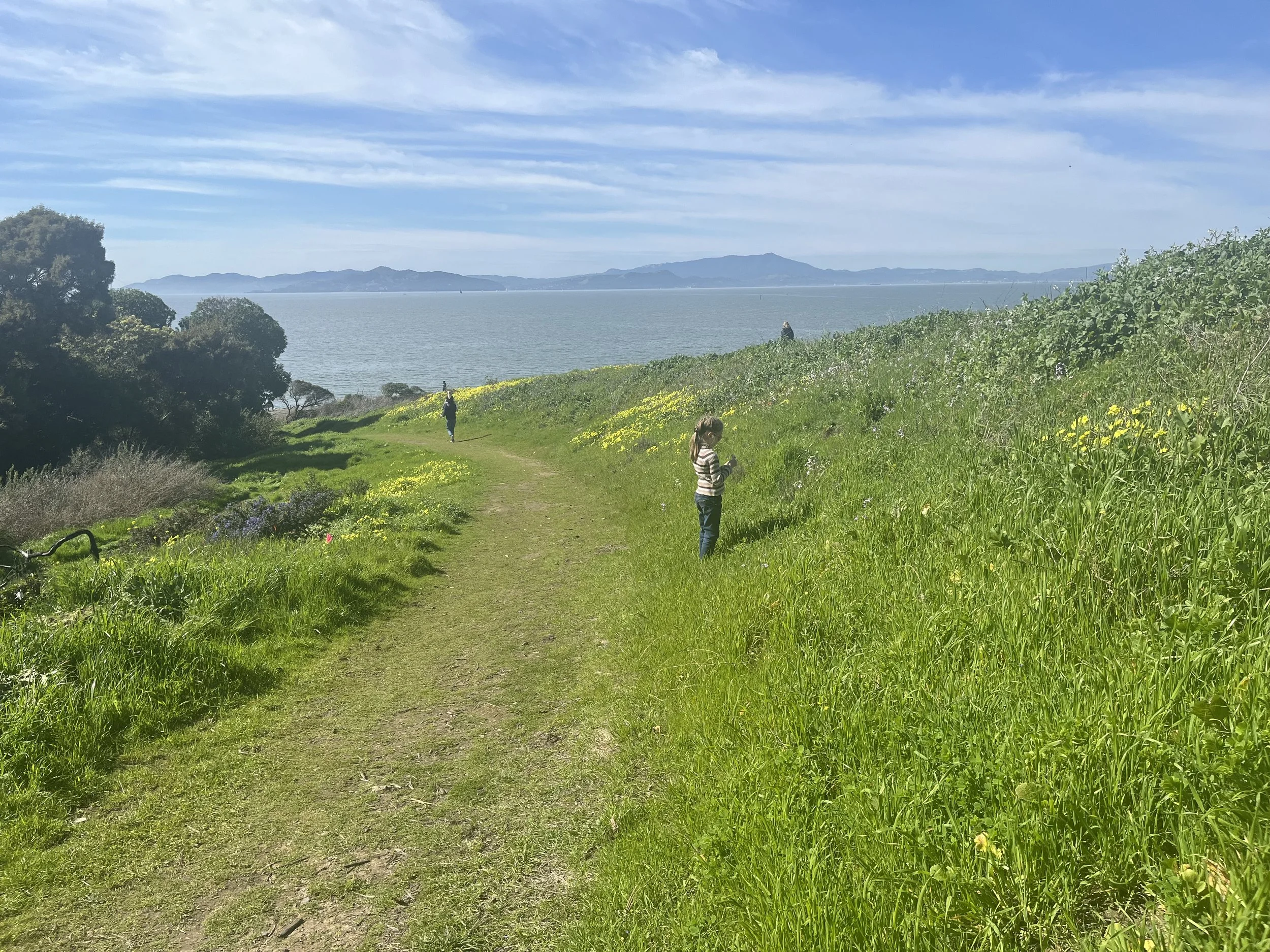  Research trip to Berkeley, California and Presentation of the Project