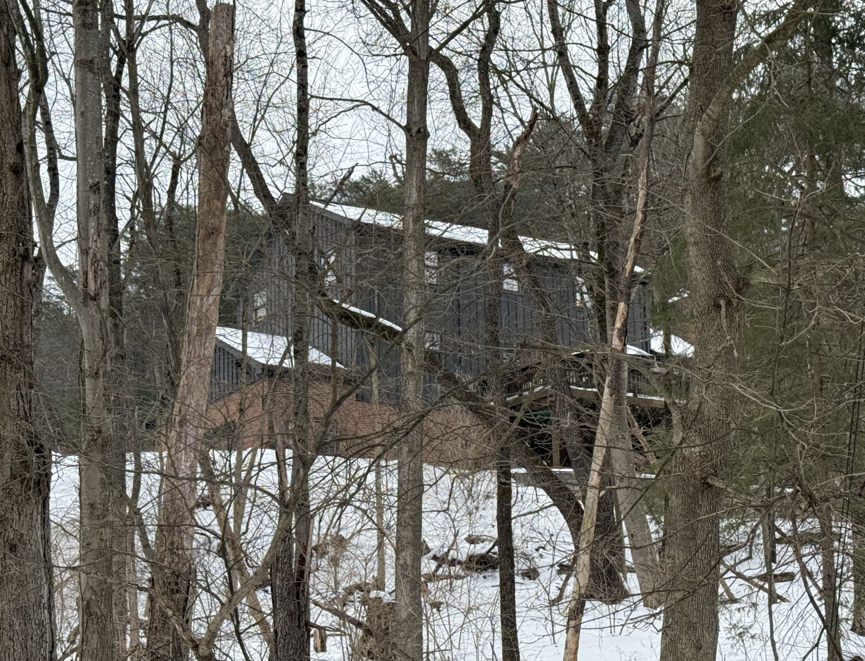 Screenshot 2026-02-15 at 6.43.55 AM.png