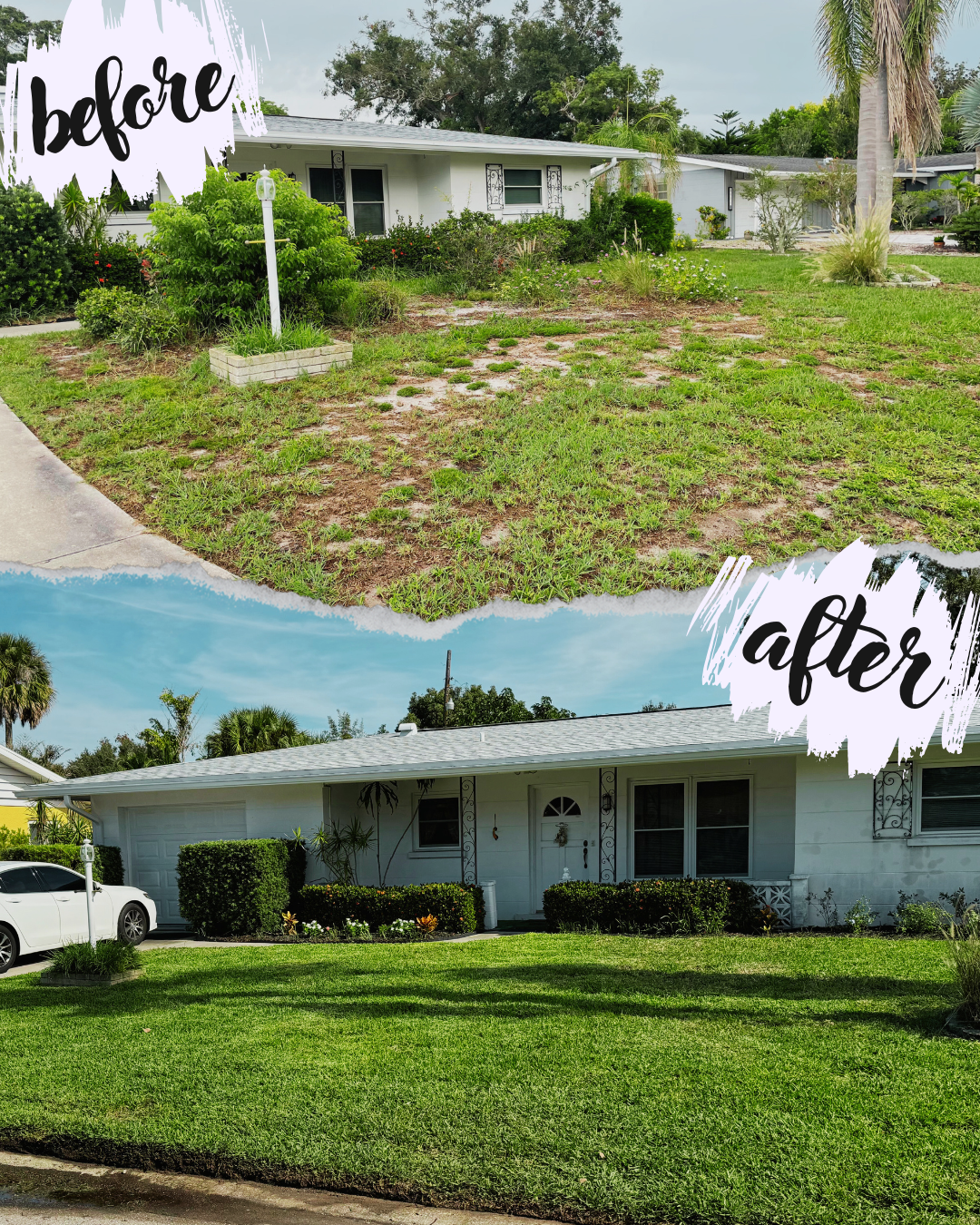 Side-by-side comparison of a house before and after lawn renovation. The top image shows a house with patchy, sparse grass and overgrown plants. The bottom image shows the same house with a well-maintained, lush green lawn and neatly trimmed bushes.
