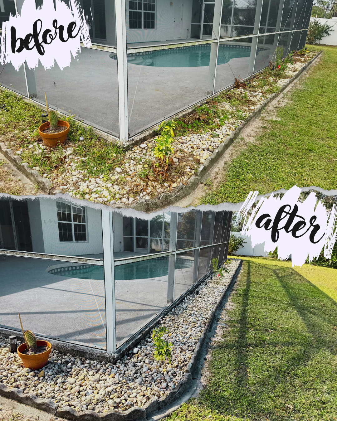 Side-by-side "before" and "after" images of a screened pool area. The "before" image shows overgrown grass and sparse plants around the pool with scattered pebbles. The "after" image shows a tidied appearance with more pebbles and defined edges along