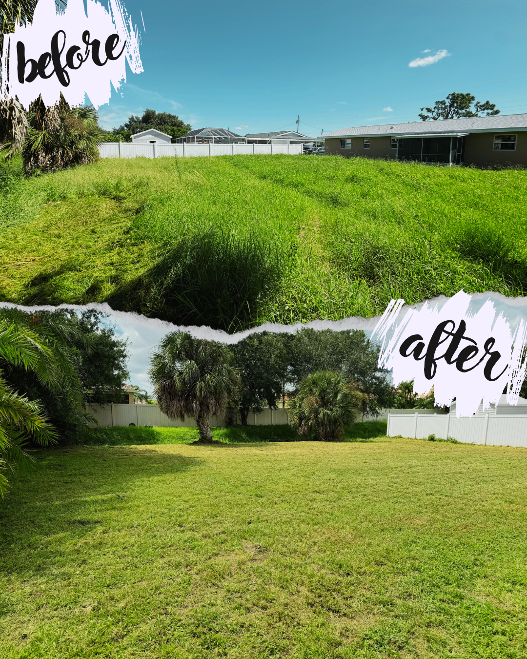 Lawn care transformation showing a backyard before and after mowing. The top section displays overgrown grass, while the bottom displays a neatly trimmed lawn with a clear view of a white fence and trees.