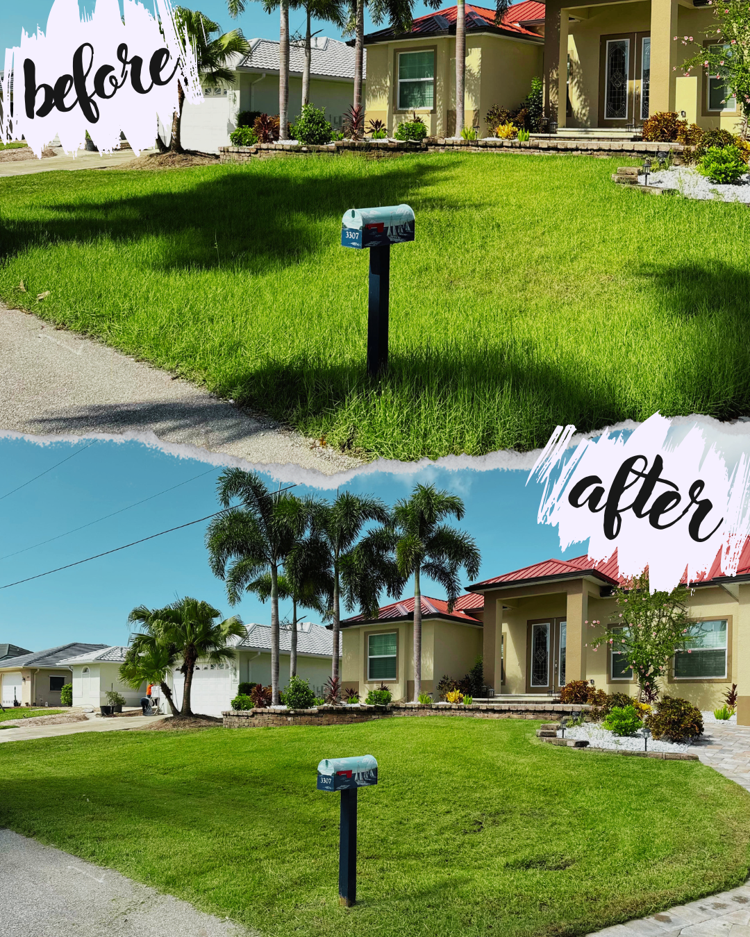 Before and after images of a house with lawn improvements. The "before" image shows an overgrown lawn; the "after" image shows a manicured lawn with trimmed grass, landscaped plants, and palm trees.