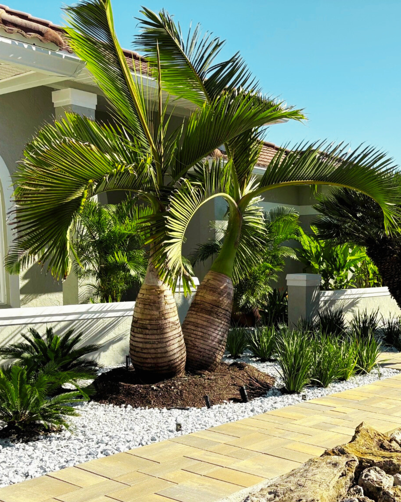 Mulch install, sod install and rocks in North Port, Port Charlotte and Venice.