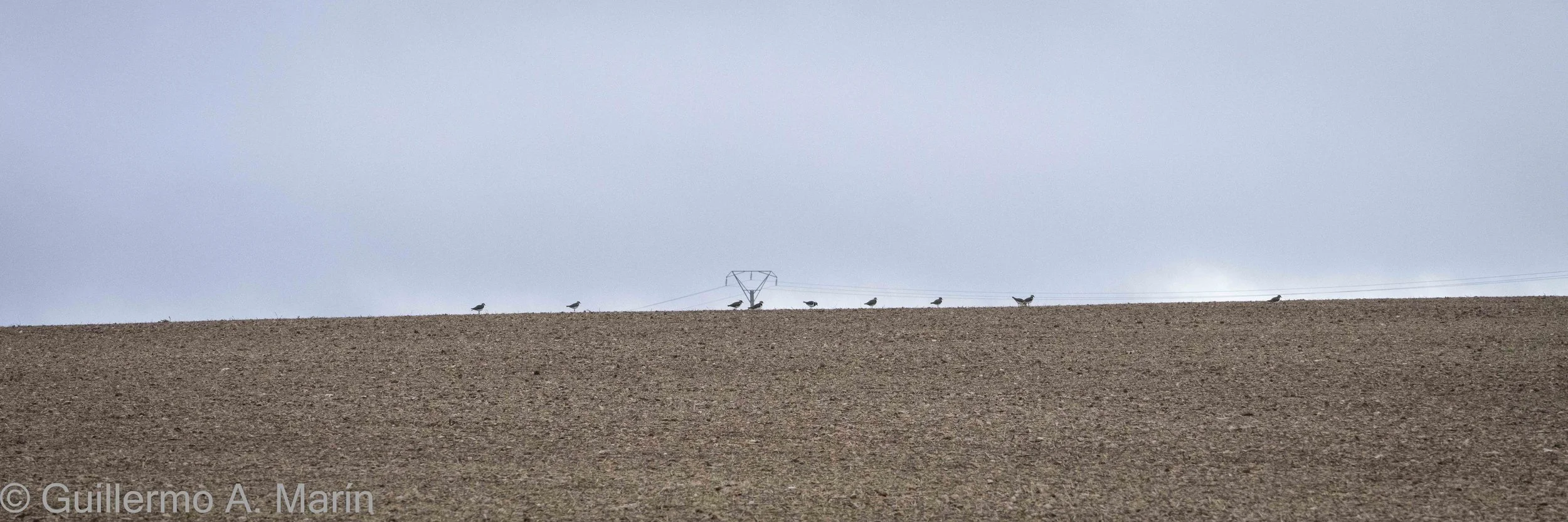 capitulo _1_ día _02-07-3.jpg