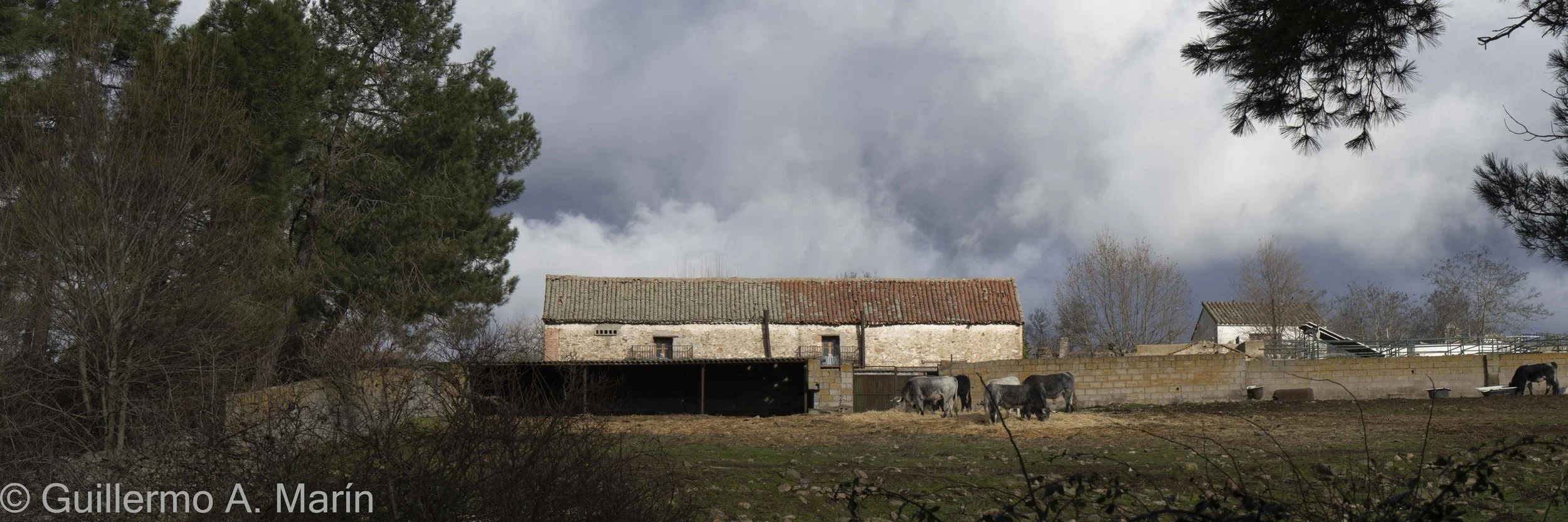 capitulo _1_ día _02-07-1.jpg