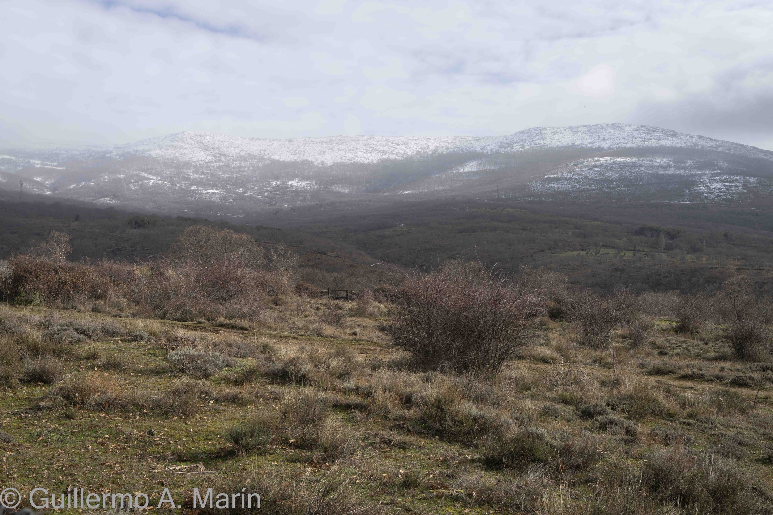 capitulo _1_ día _02-07-3.jpg