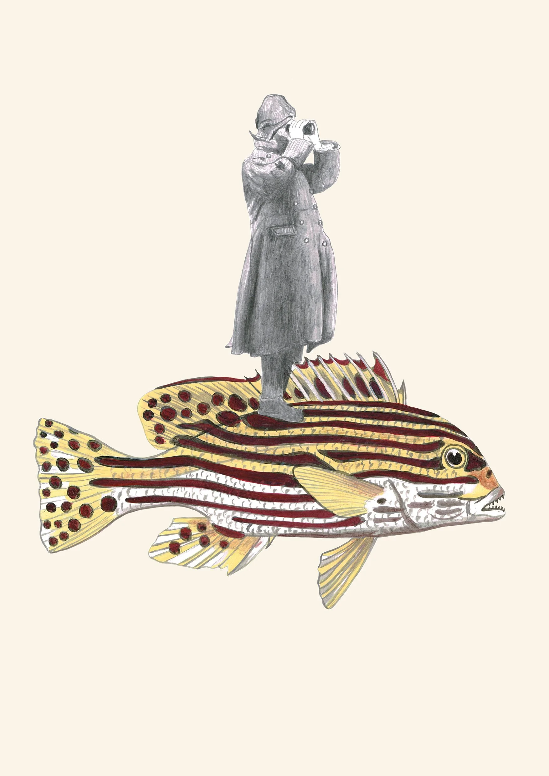 daydream 2 -discovering the world on a fish.jpg