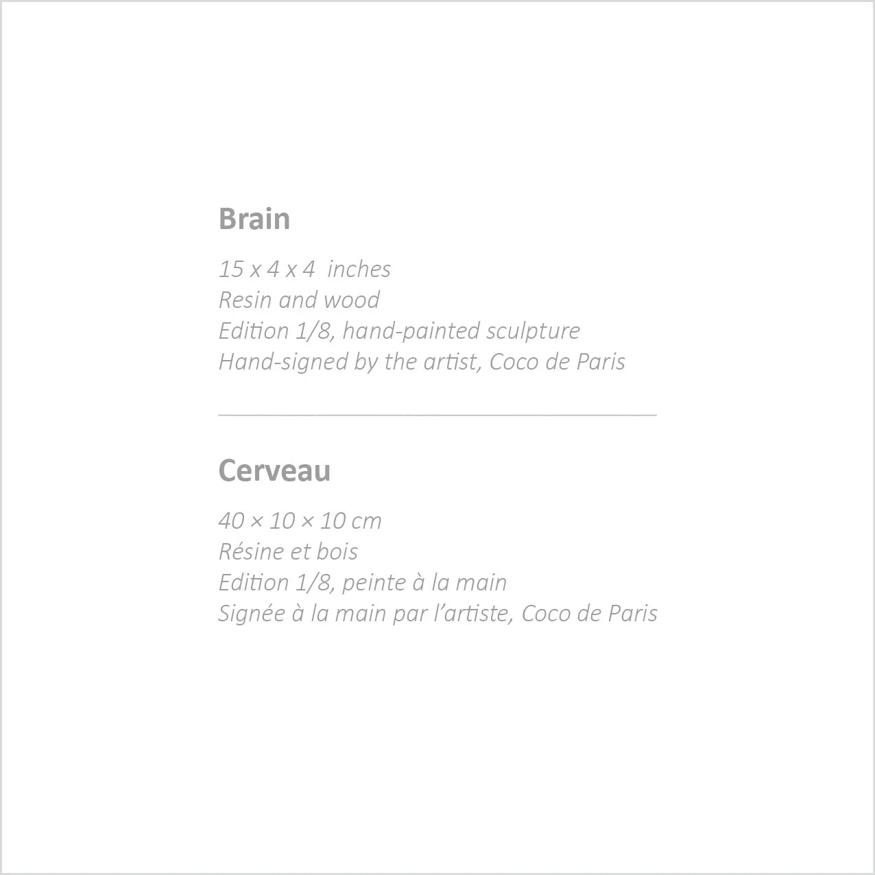 brain texte technic.jpg